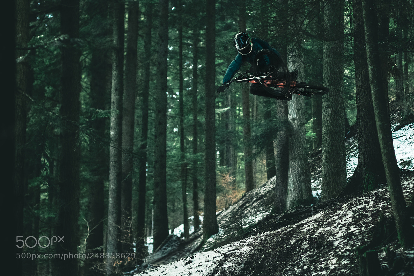 Canon EOS 60D sample photo. Wood riding photography