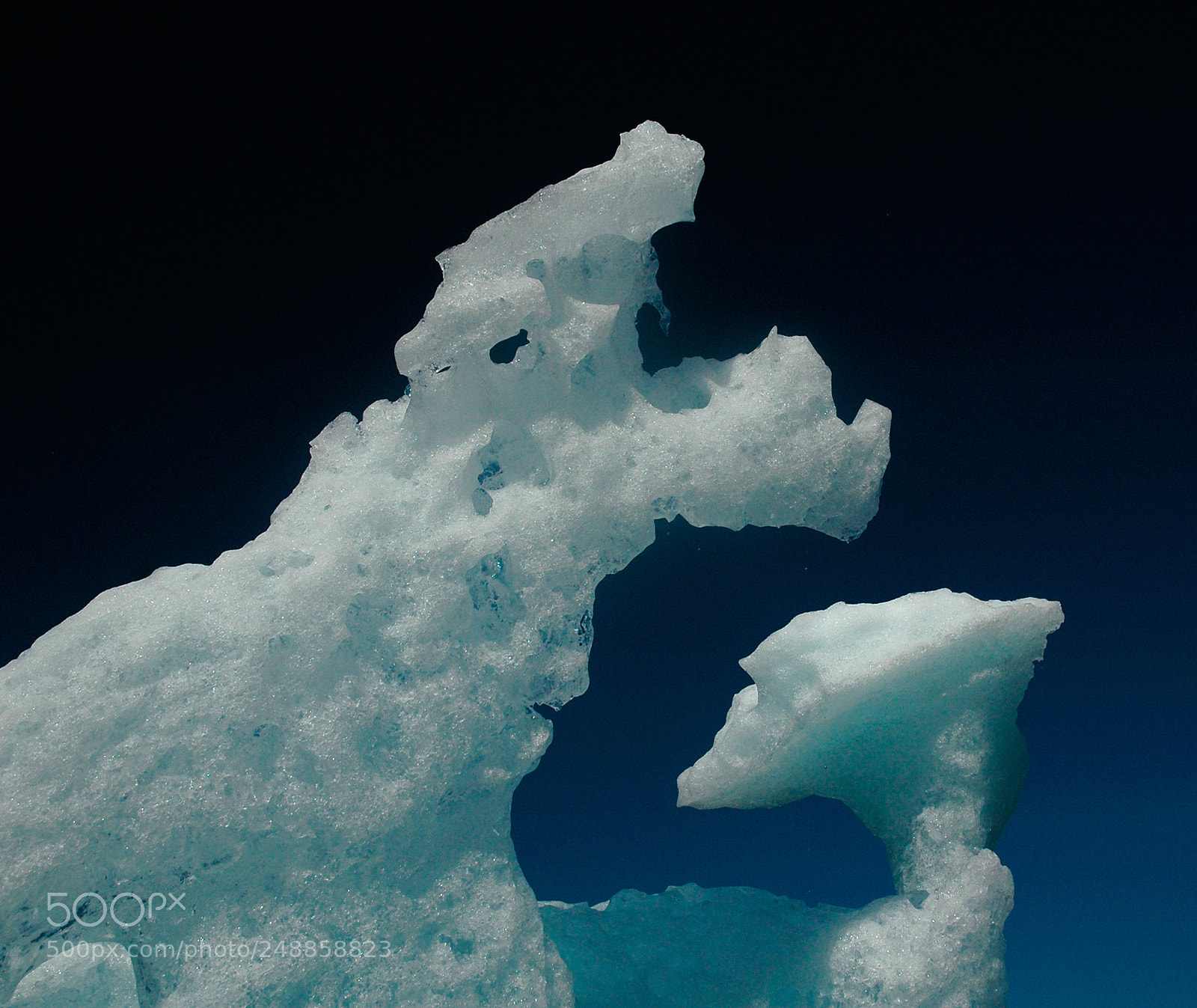 Nikon D70 sample photo. Iceberg war photography