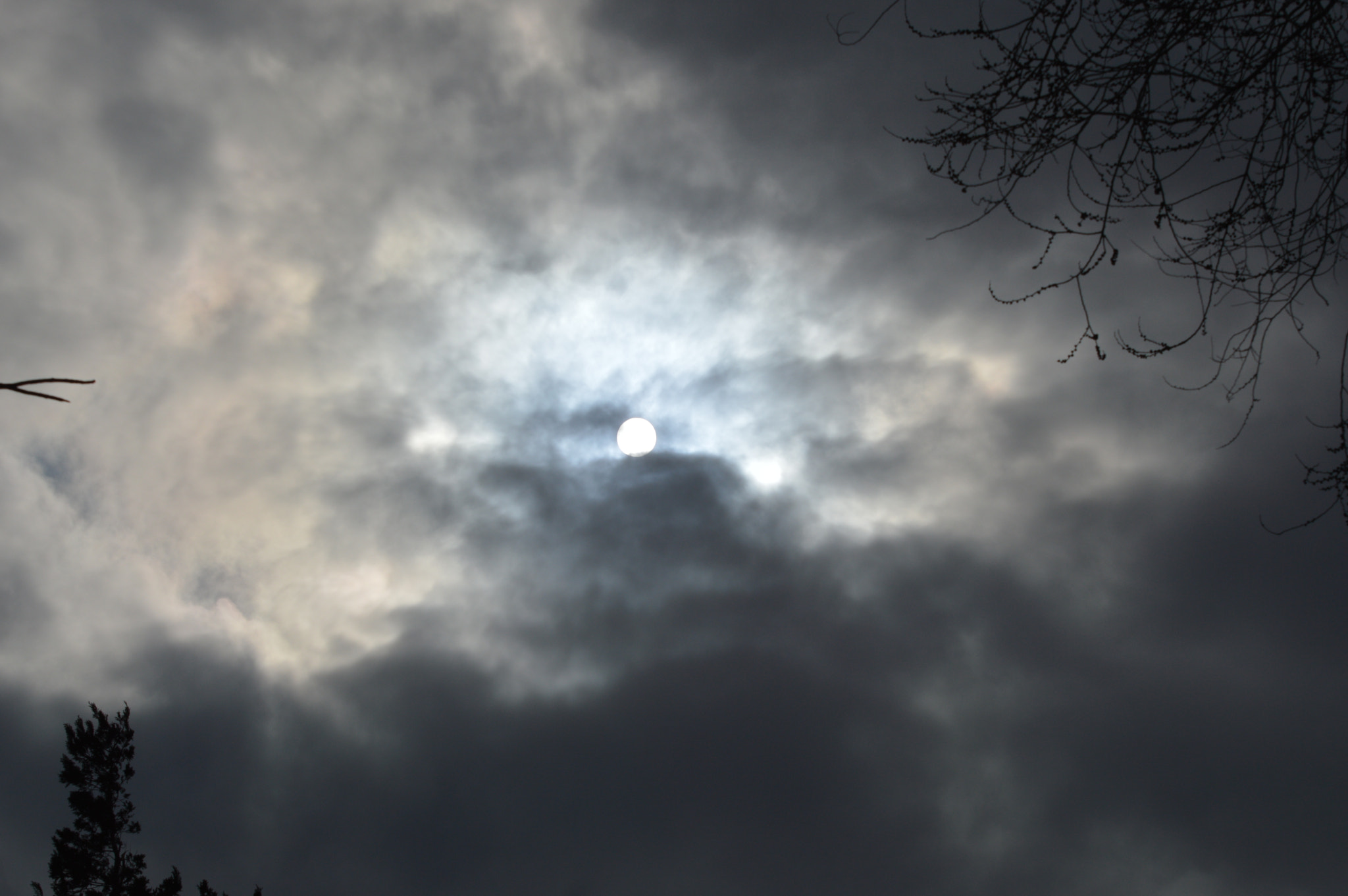 Nikon D3200 sample photo. Suns trying photography