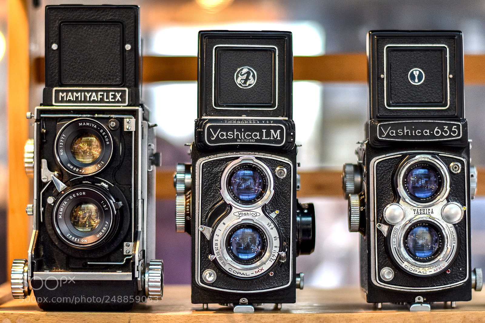 Nikon D3400 sample photo. Vintage beauties photography