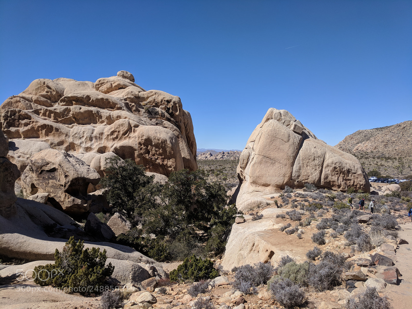 Google Pixel sample photo. Img_20180304_122900.jpg photography