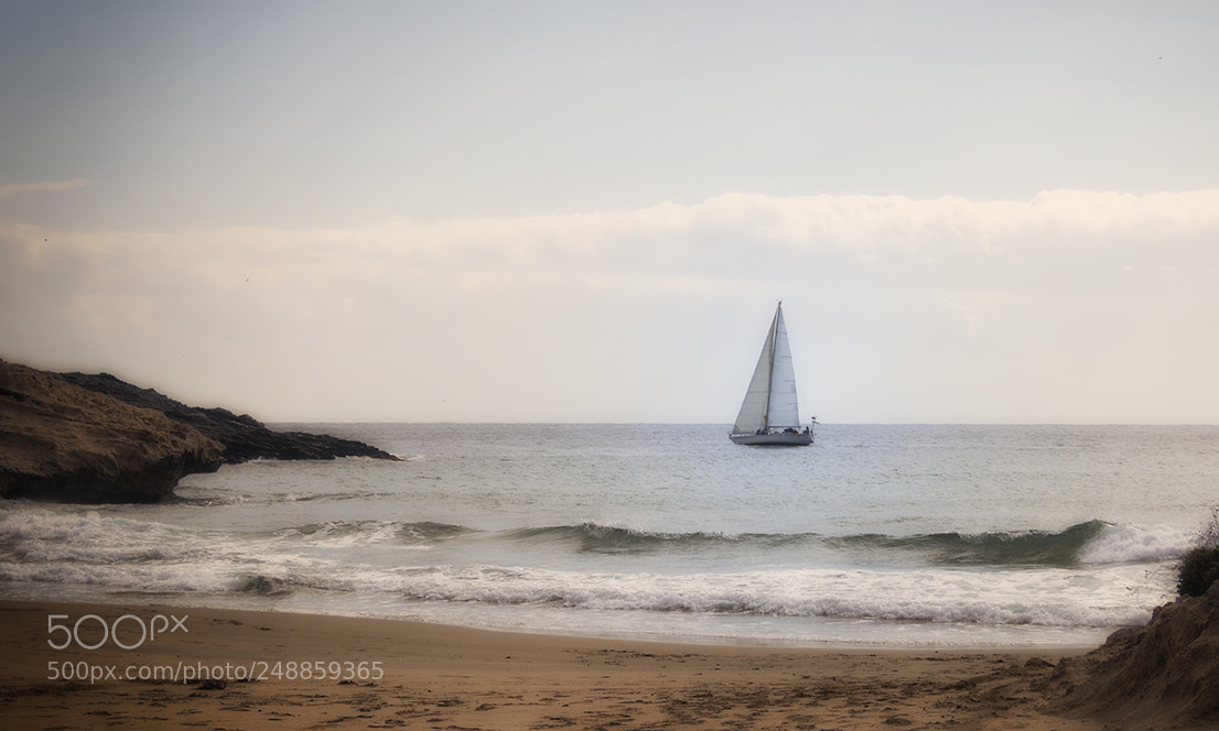 Olympus OM-D E-M10 sample photo. Golden sand photography