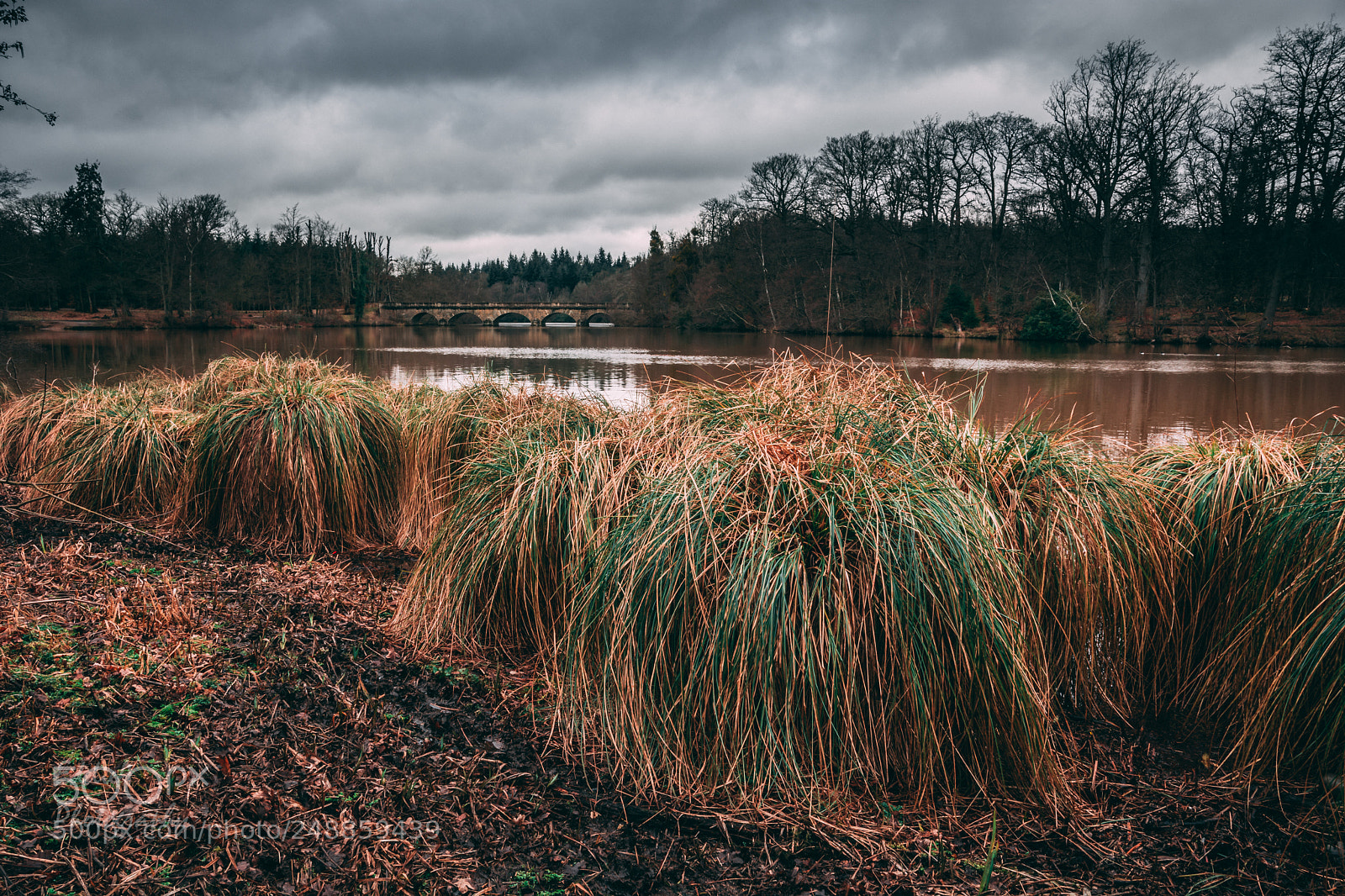 Nikon D7100 sample photo. Virginia water lake photography