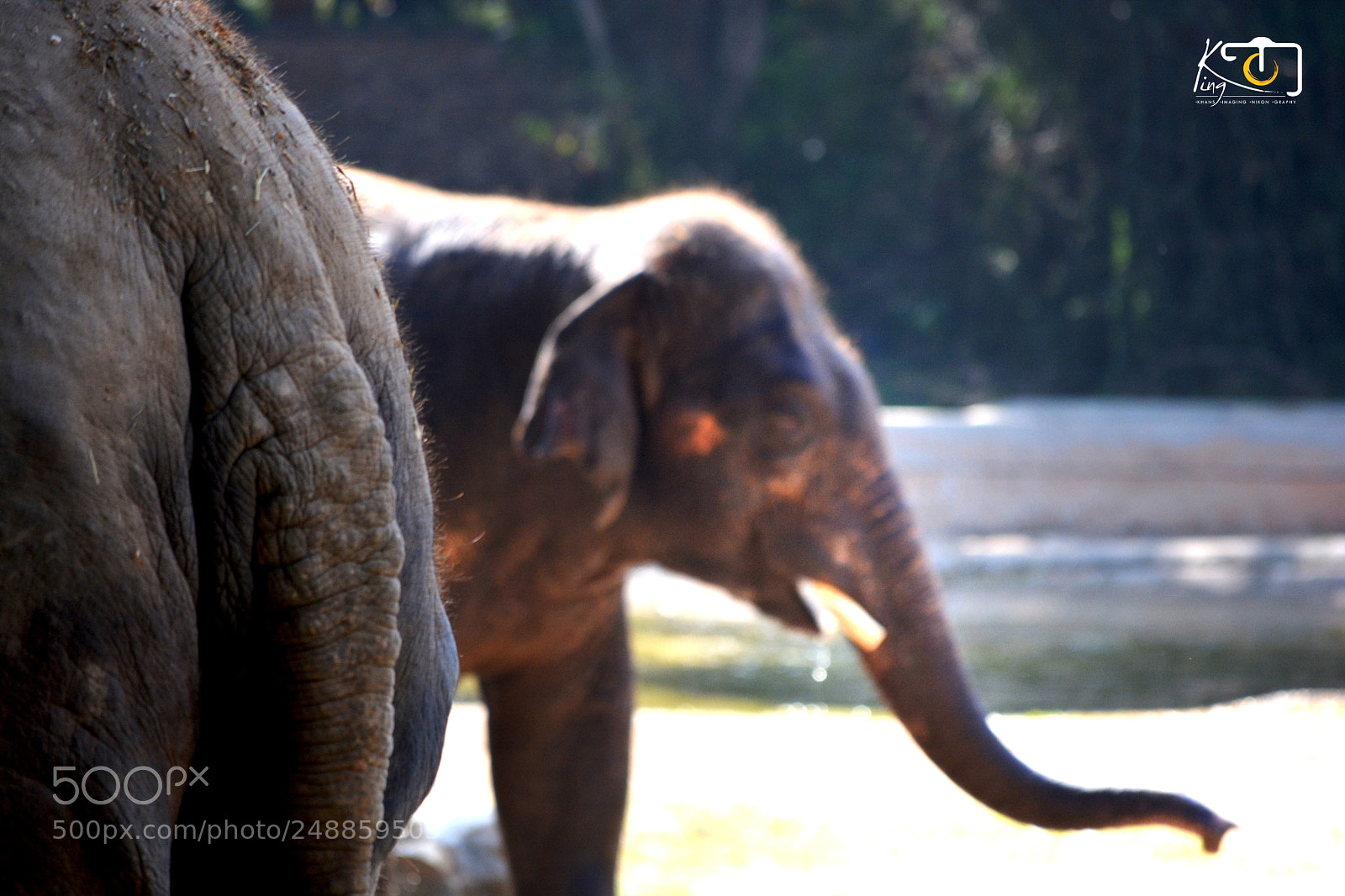 Nikon D5200 sample photo. Ooppsss photography