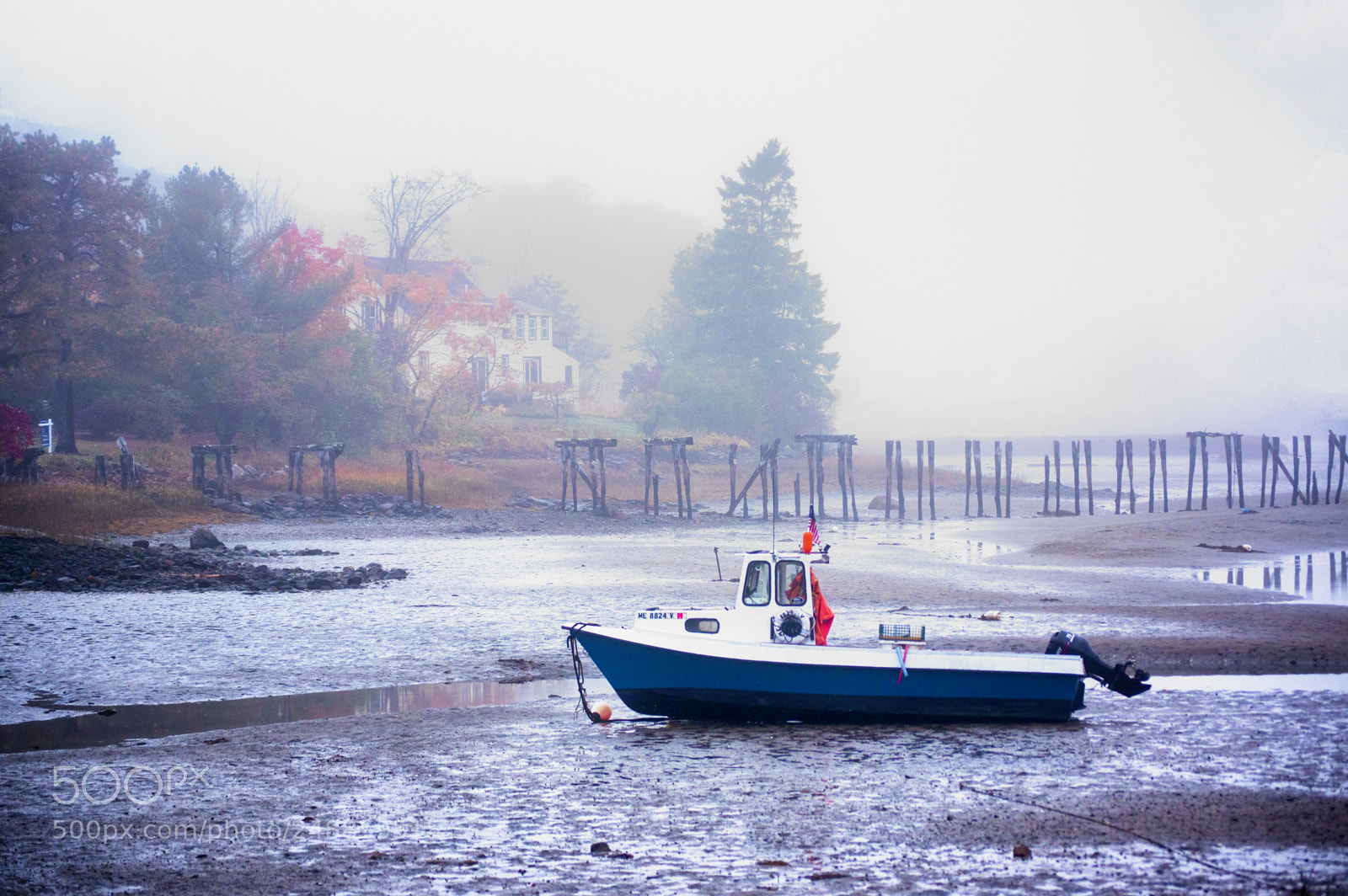 Pentax K-3 II sample photo. Morning fog photography
