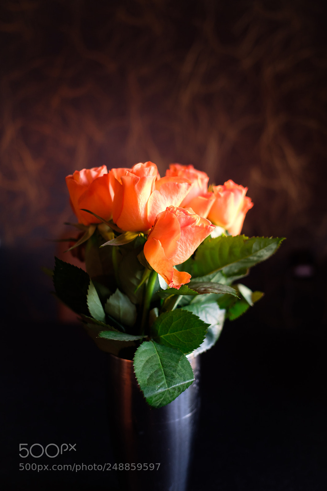 Fujifilm X-T2 sample photo. Roses in natural sunlight photography