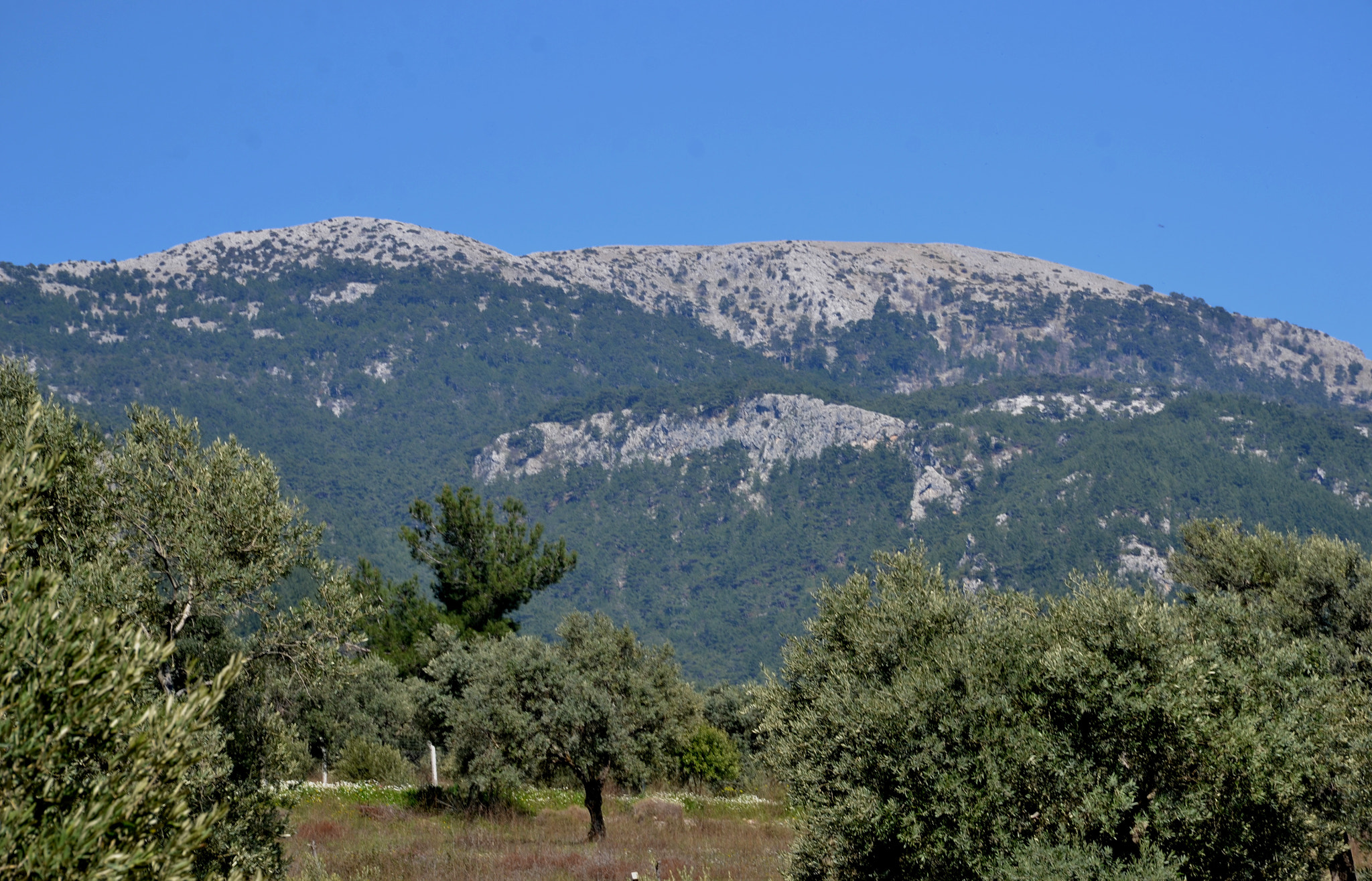 Nikon D3100 sample photo. The mountain photography