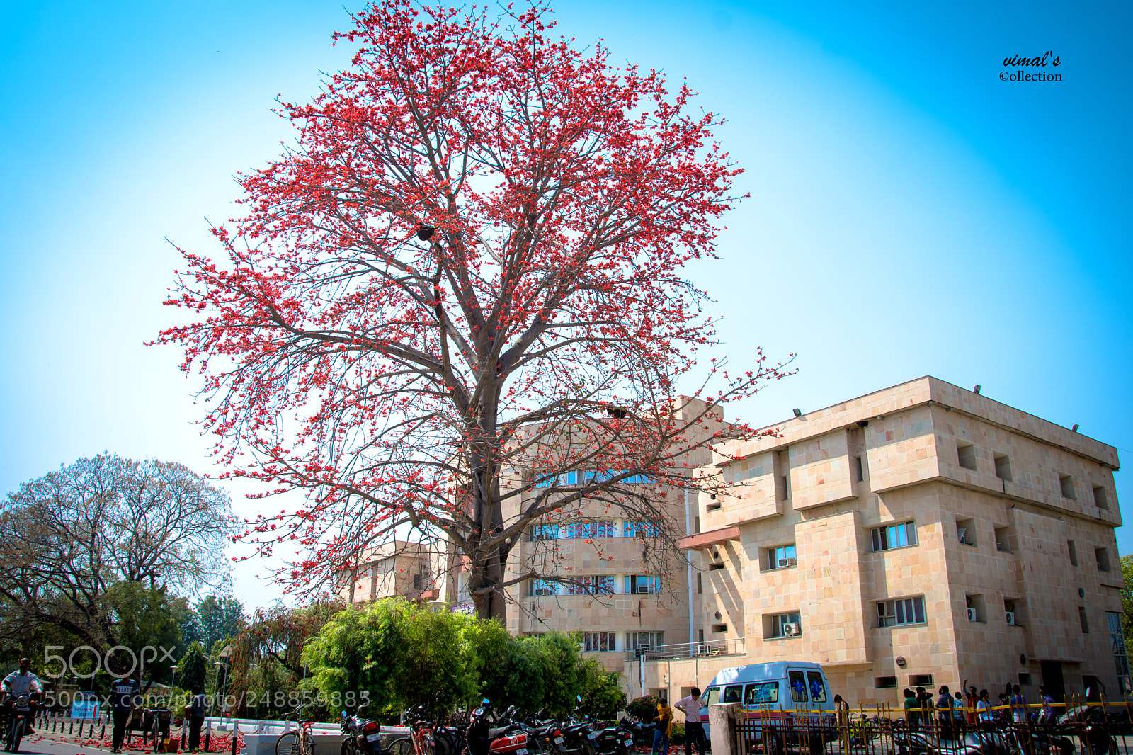 Nikon D7200 sample photo. Vimal (of ) photography