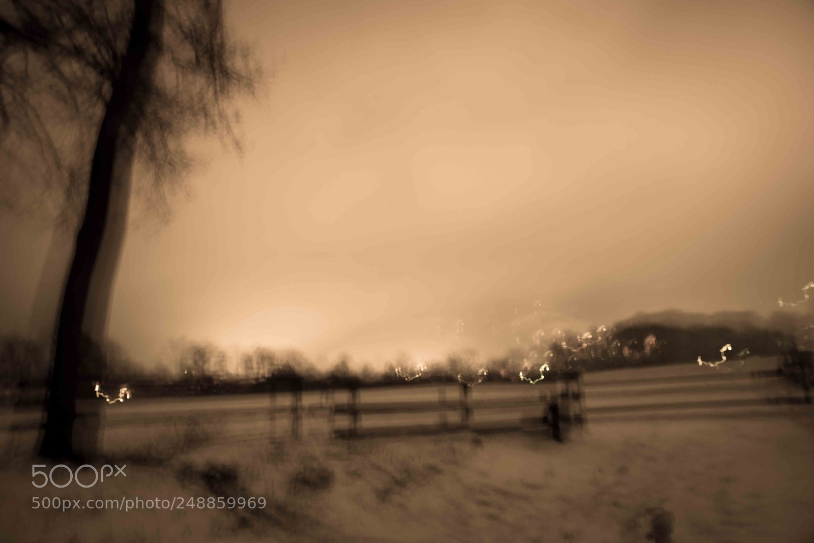 Nikon D610 sample photo. Seing things differently photography