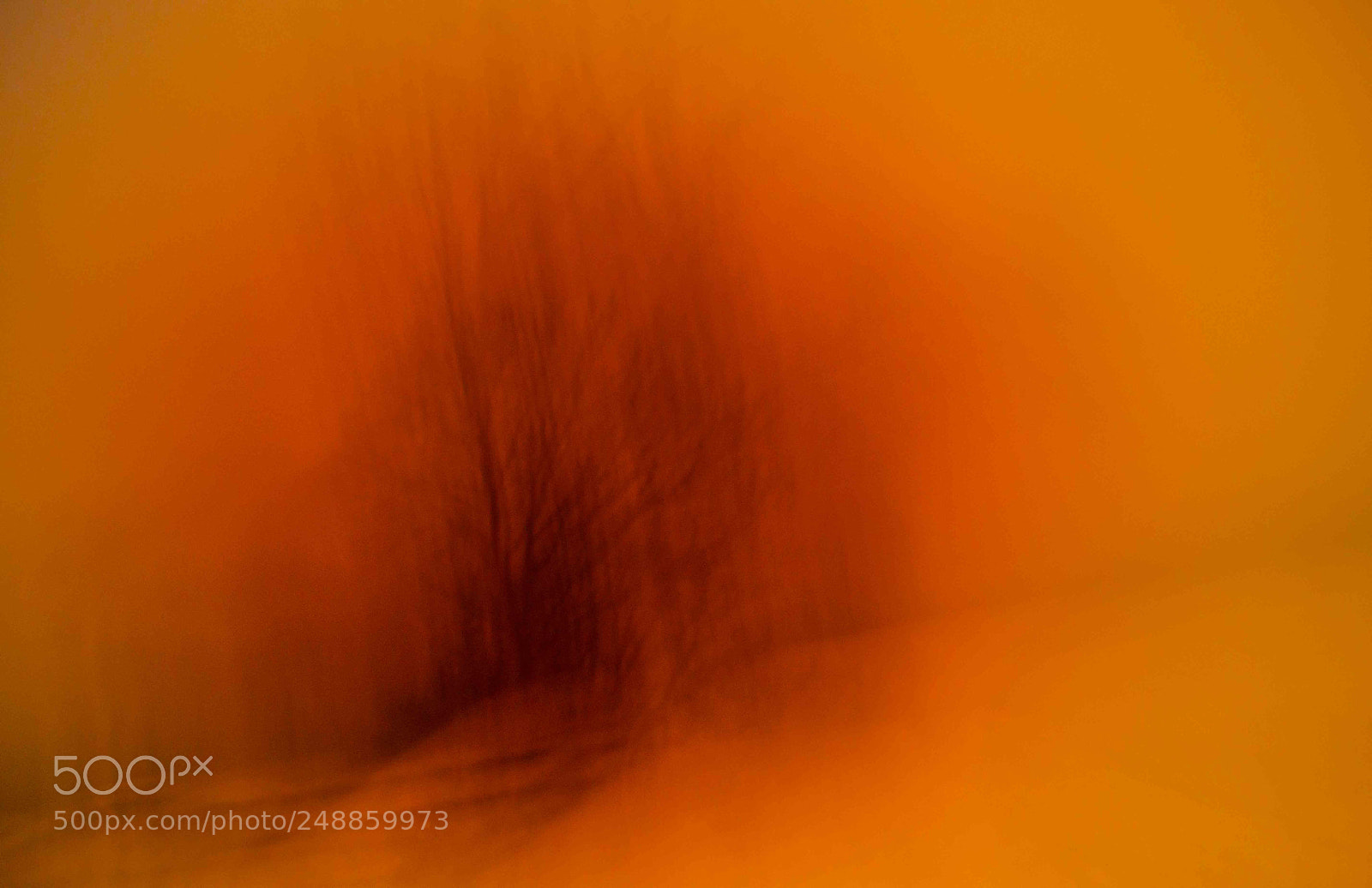 Nikon D610 sample photo. Seing things differently photography