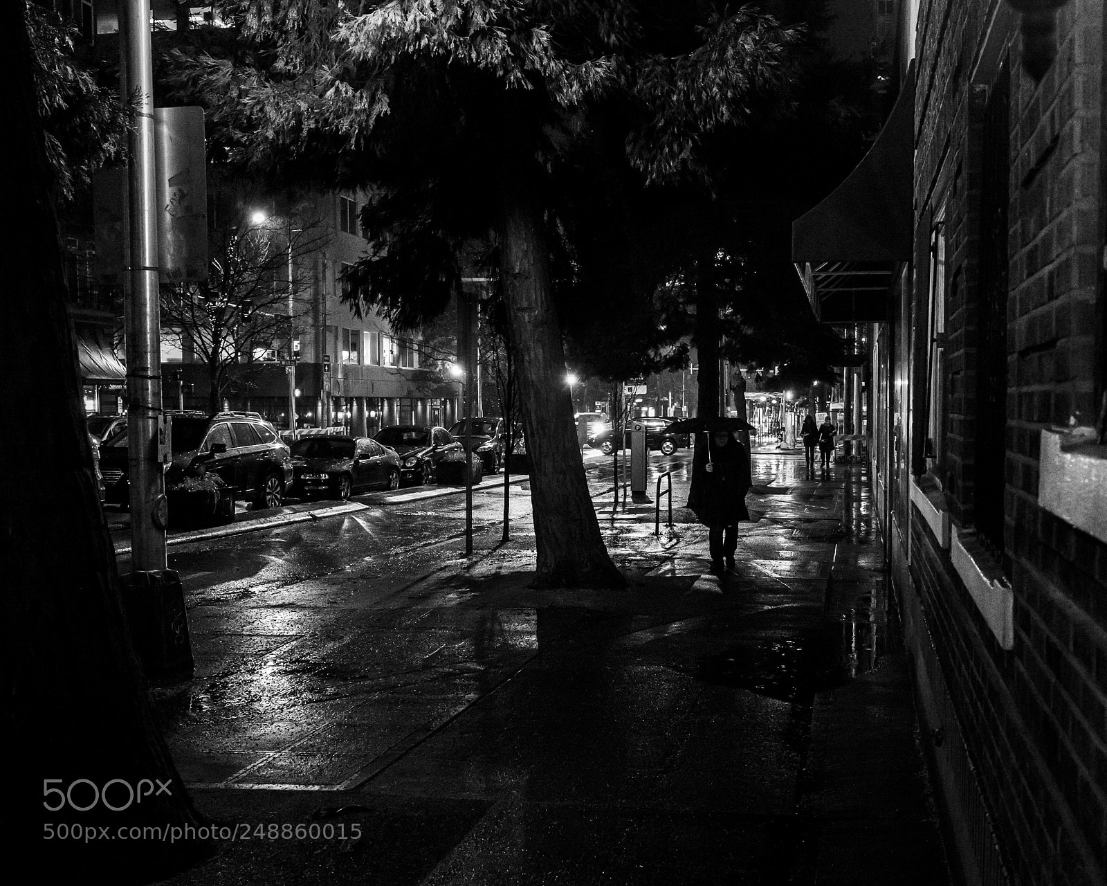 Leica Q (Typ 116) sample photo. Rainy night 3 photography