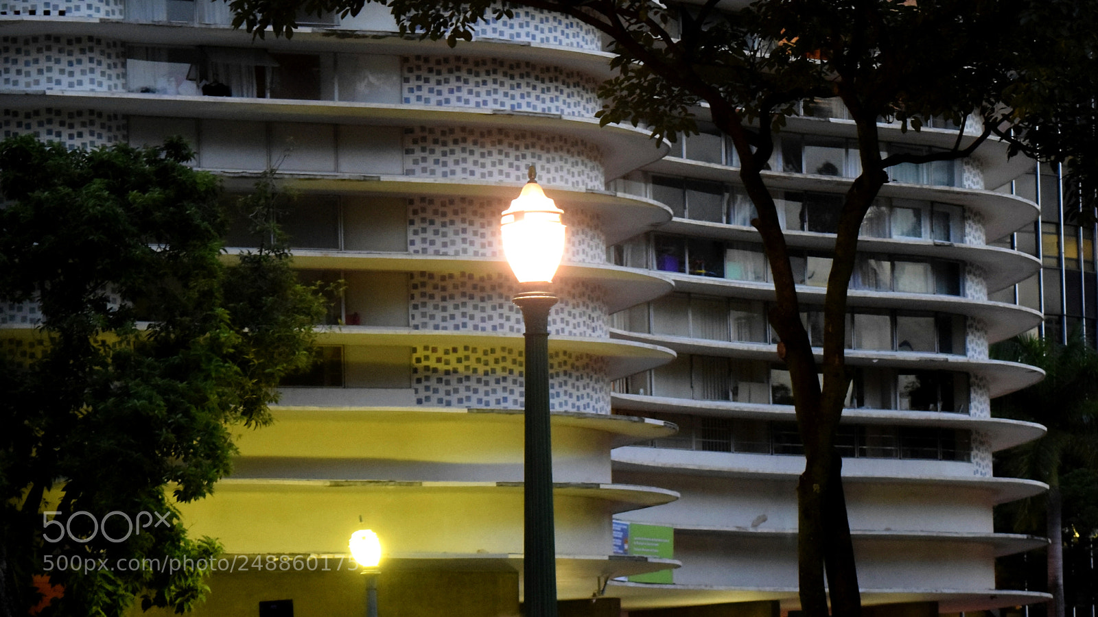Nikon D5300 sample photo. ... e té manhã" ;-) photography