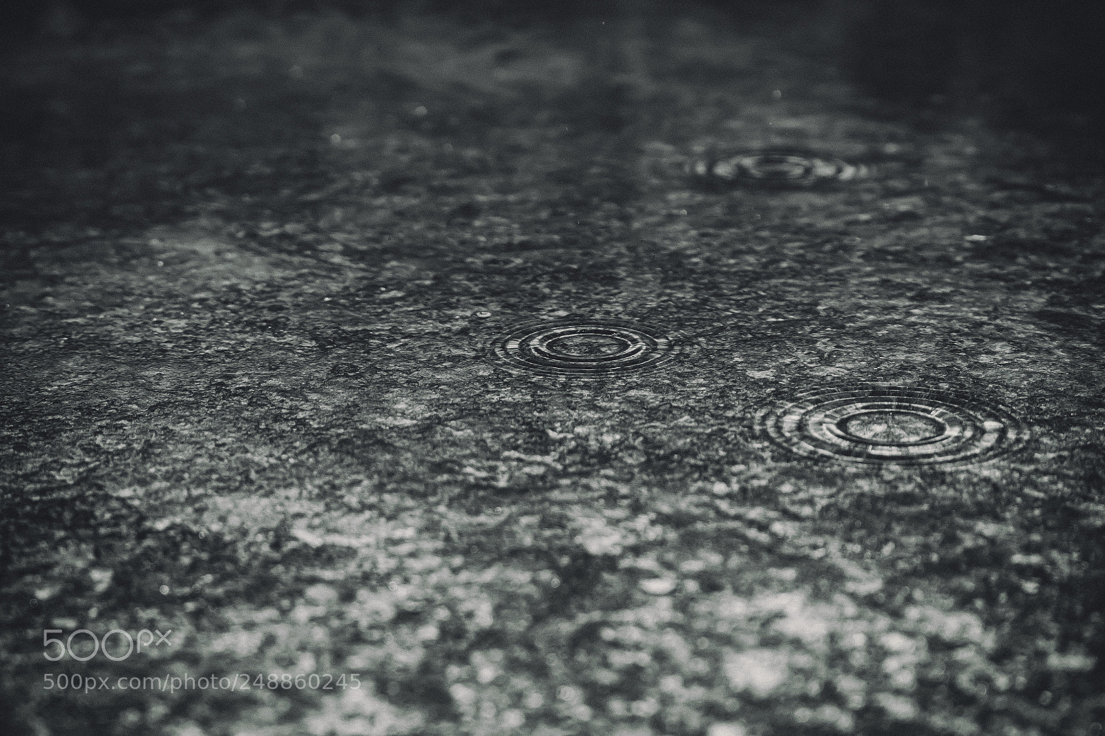 Canon EOS 700D (EOS Rebel T5i / EOS Kiss X7i) sample photo. Dramatic rain photography