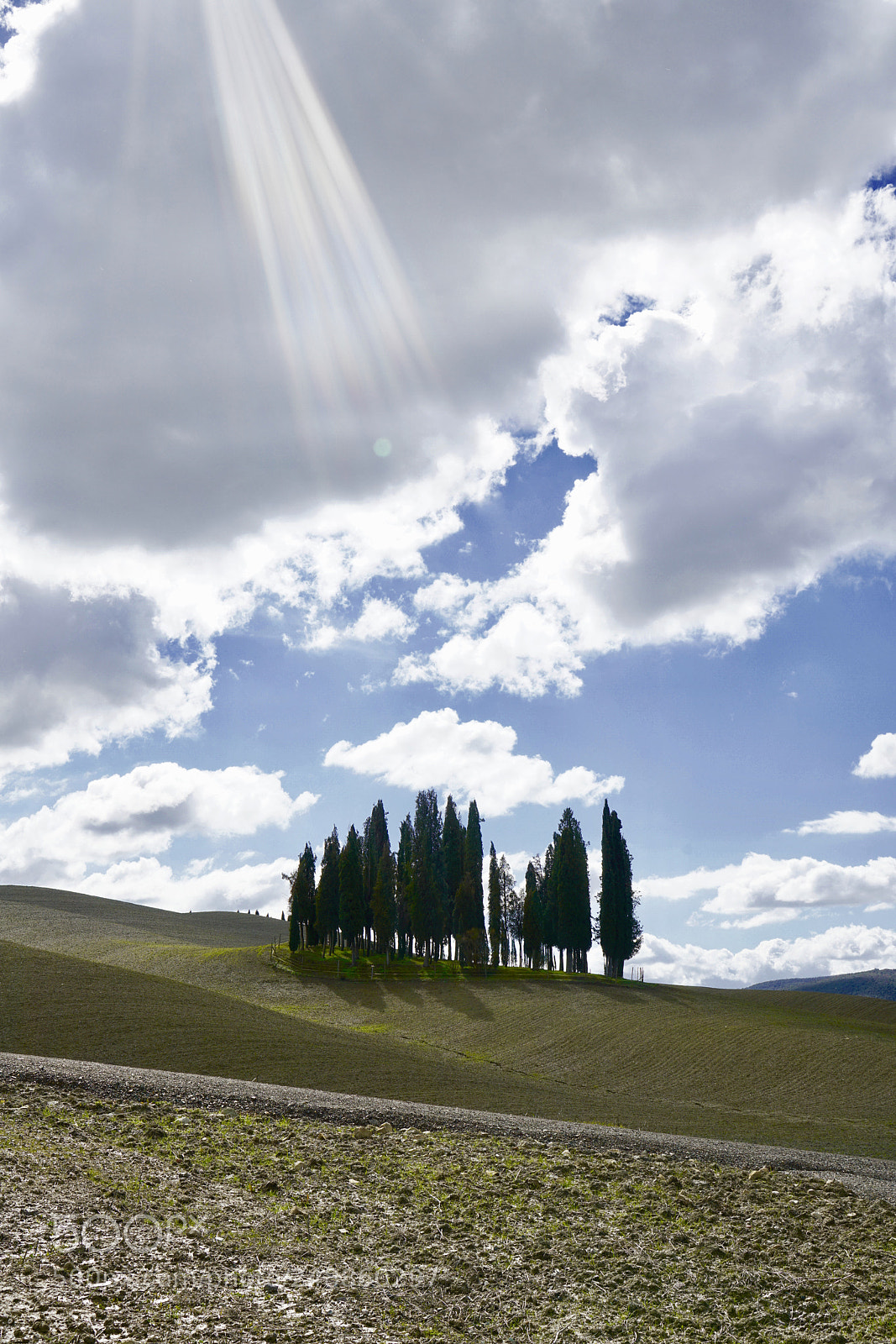 Sony a7R II sample photo. Illuminati dall'alto photography