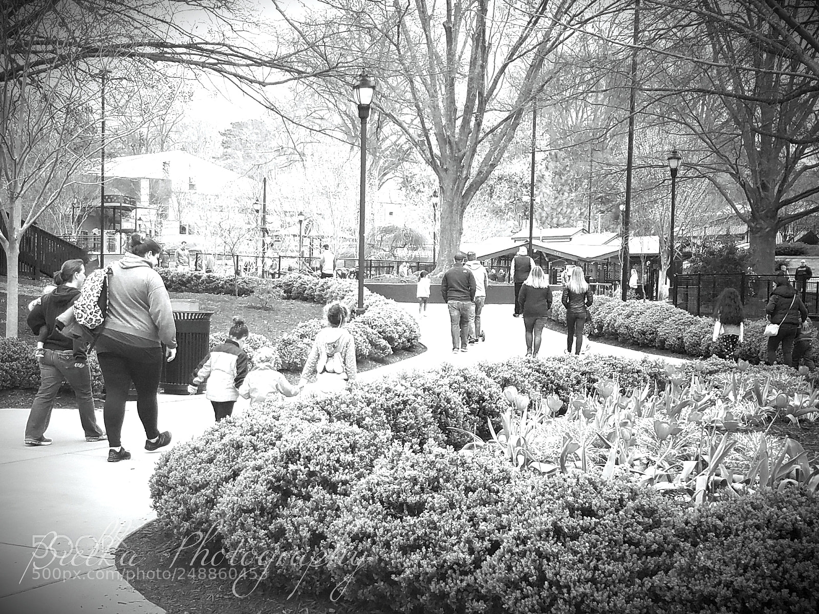 Samsung Galaxy S7 sample photo. Pullen park series: s3 photography