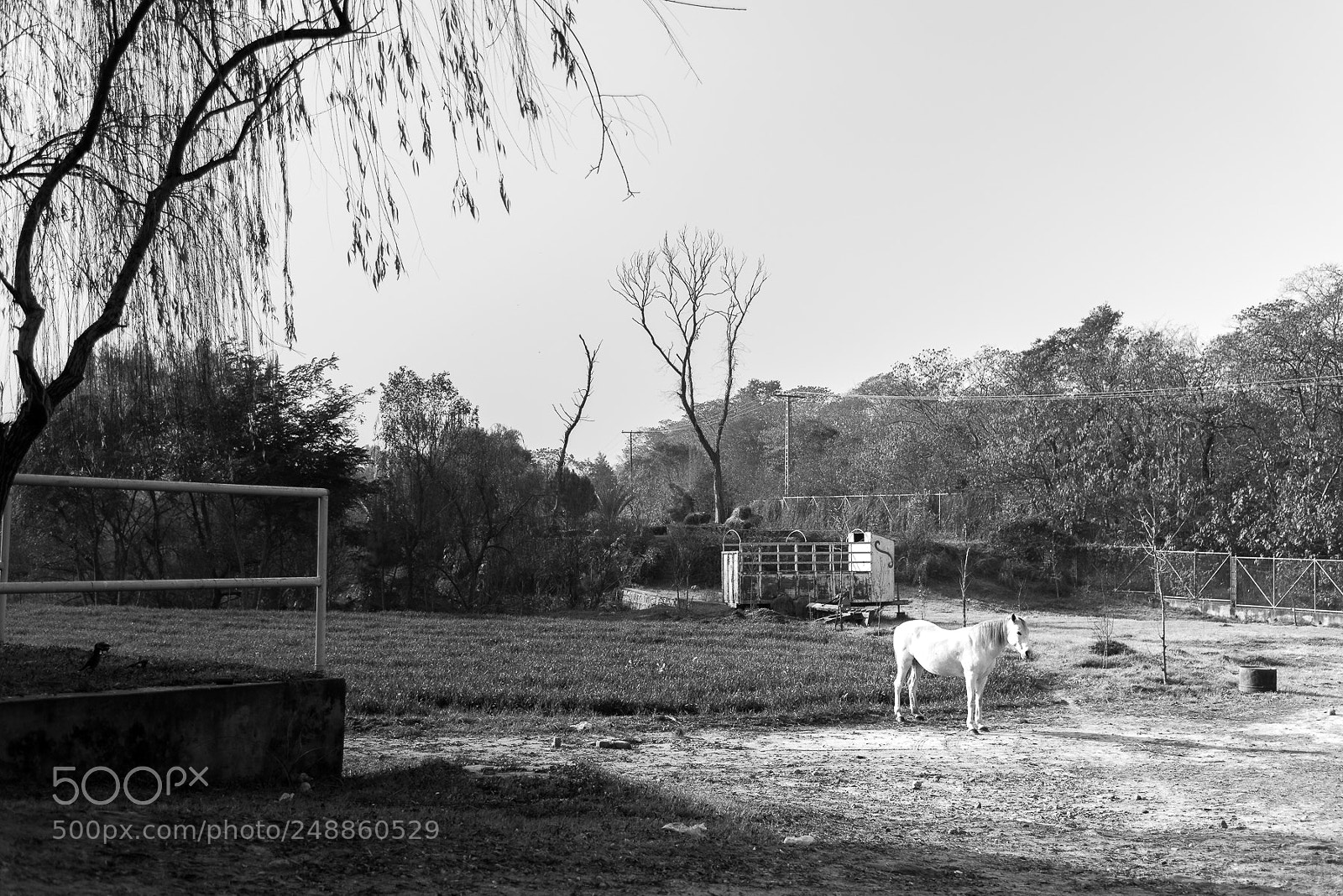 Nikon D810 sample photo. Mono photography