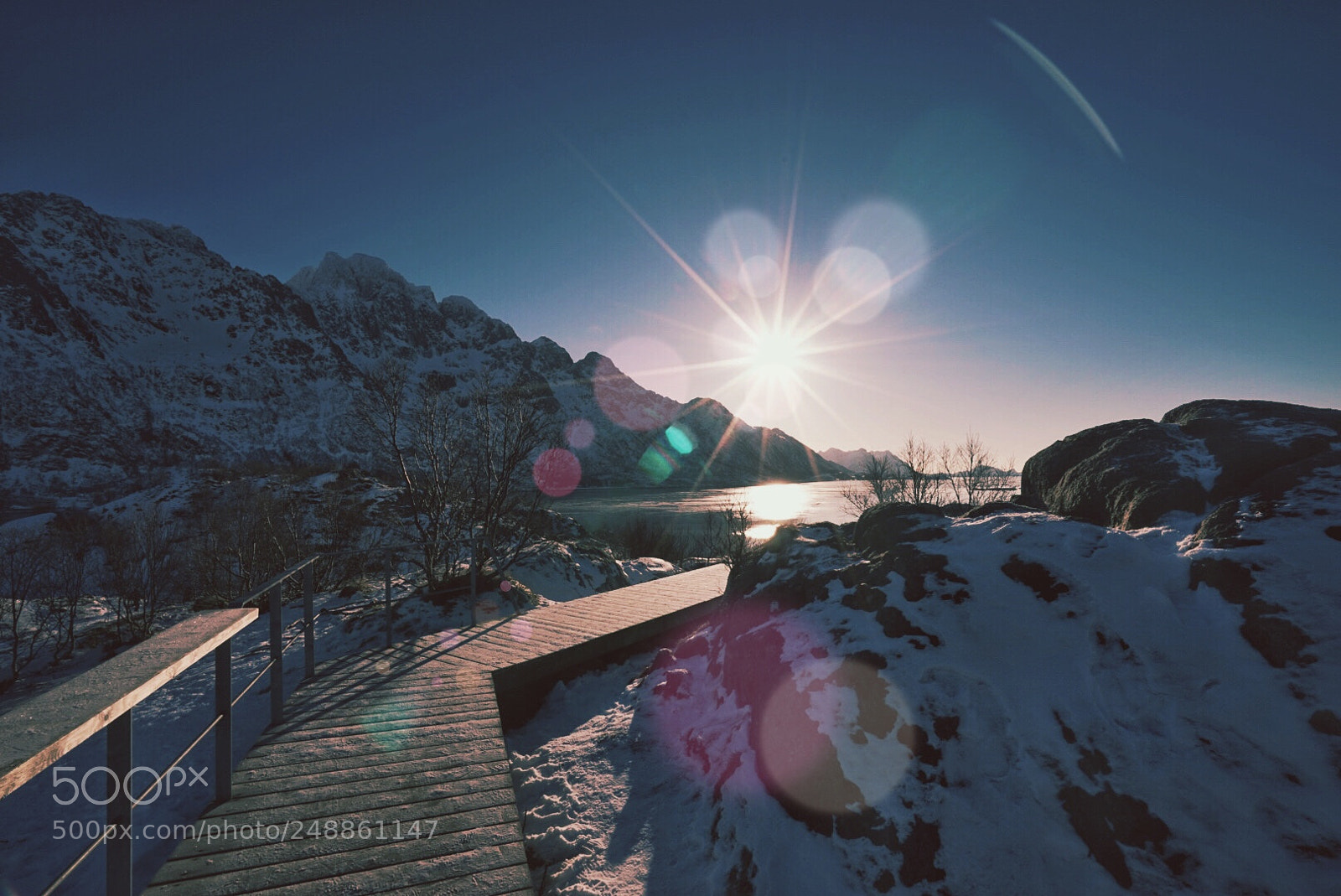 Sony a7 sample photo. Sunlight photography