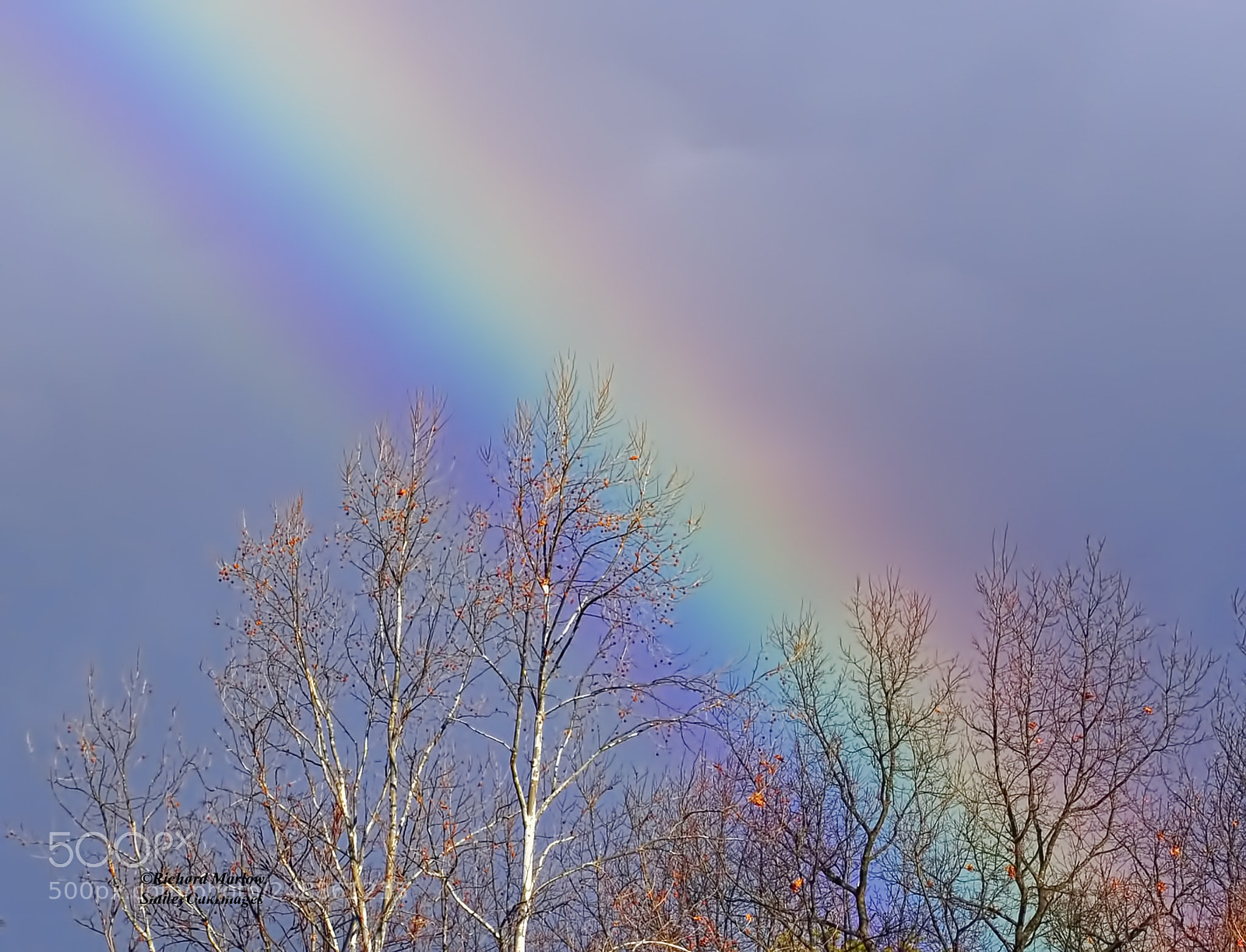 Nikon D5000 sample photo. Rainbow photography