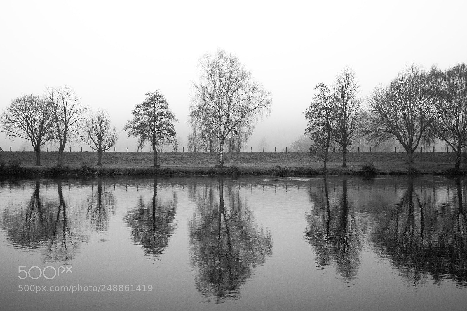 Canon EOS-1Ds Mark II sample photo. Morning mood photography