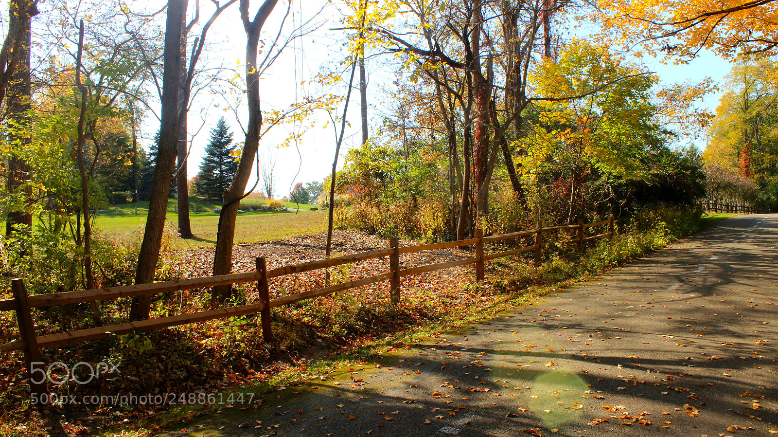 Canon EOS 600D (Rebel EOS T3i / EOS Kiss X5) sample photo. Fall creek trail photography