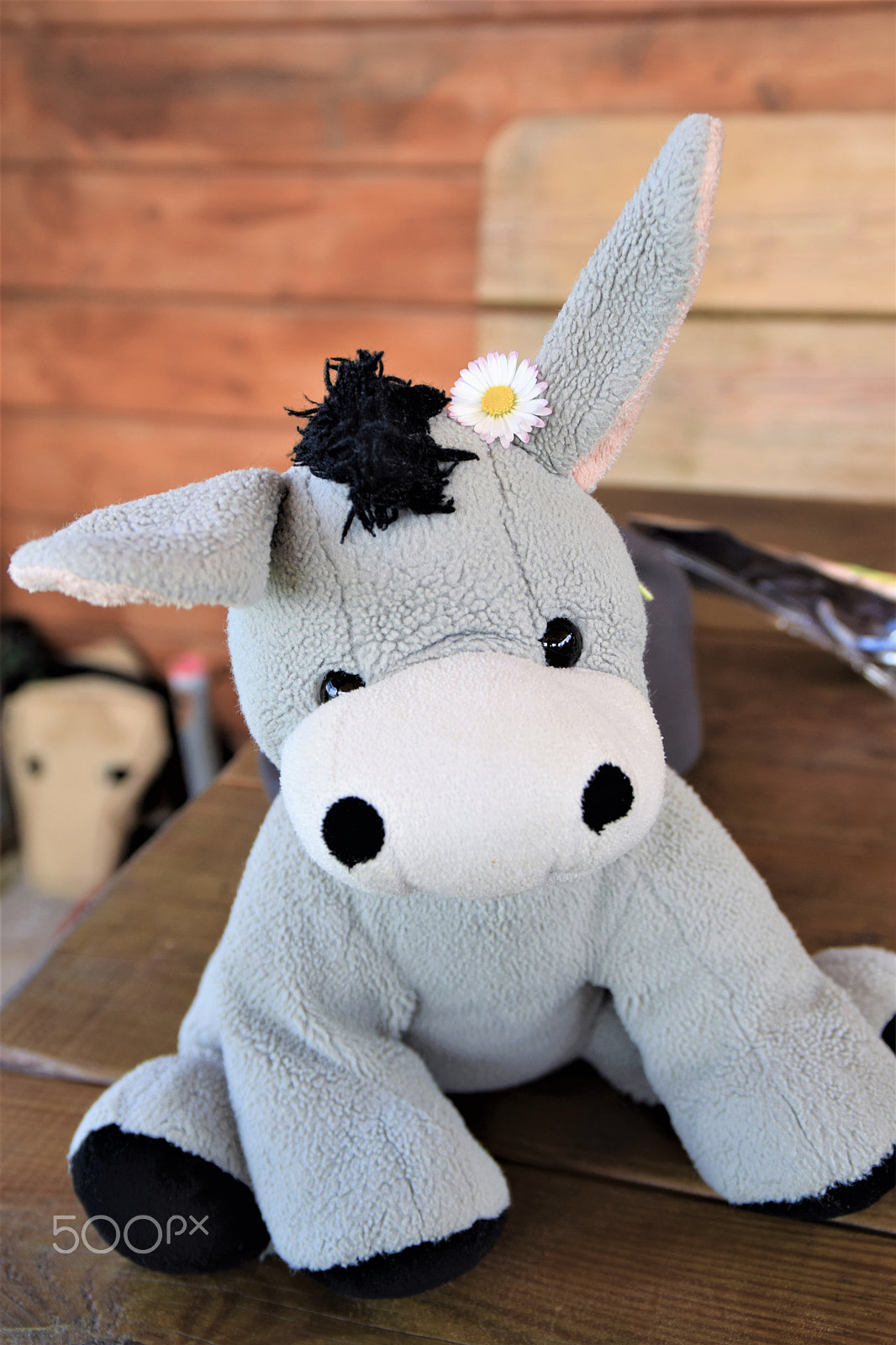 Nikon D3300 sample photo. Donkey photography