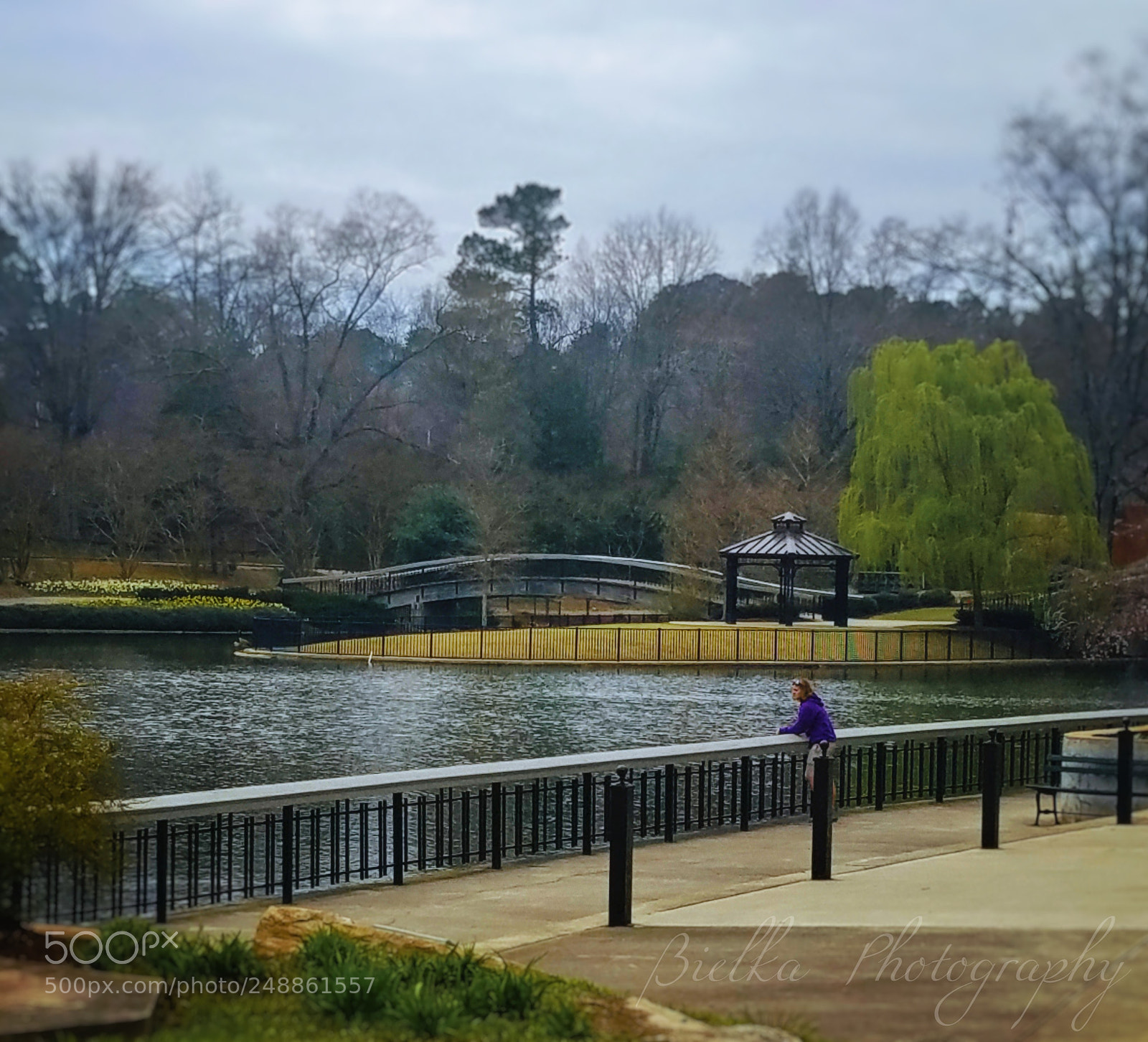 Samsung Galaxy S7 sample photo. Pullen park series: s7 photography