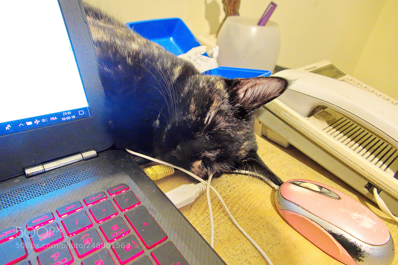 Panasonic Lumix DMC-FZ1000 sample photo. Hh () photography