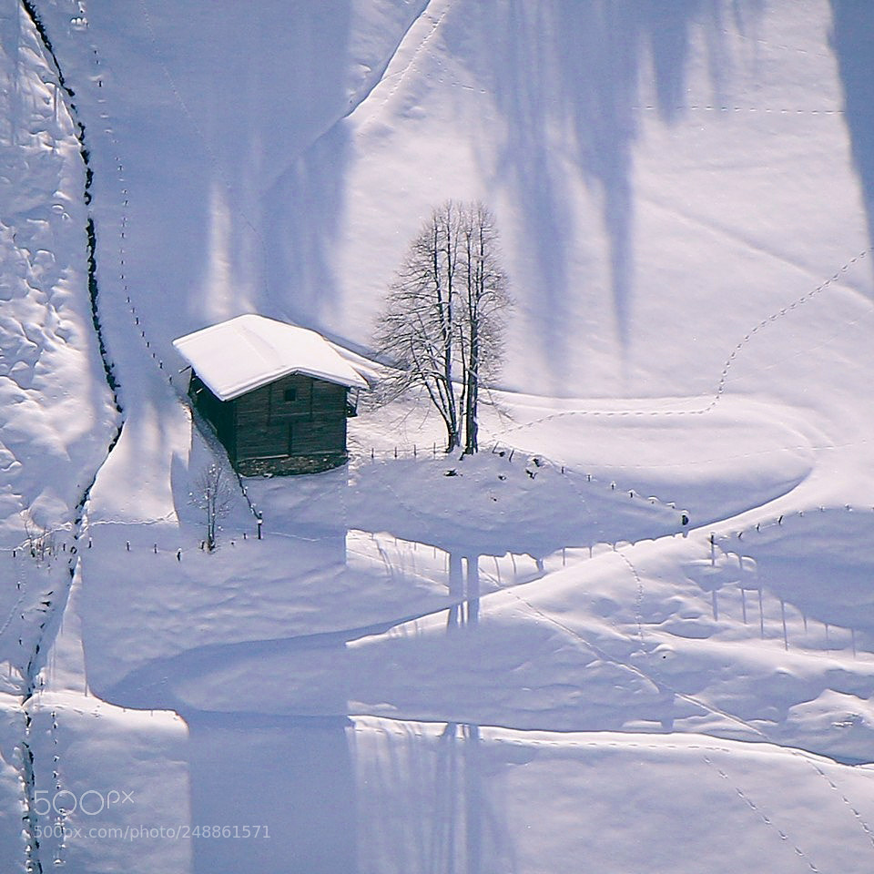 Canon EOS 7D Mark II sample photo. Happy winter day photography