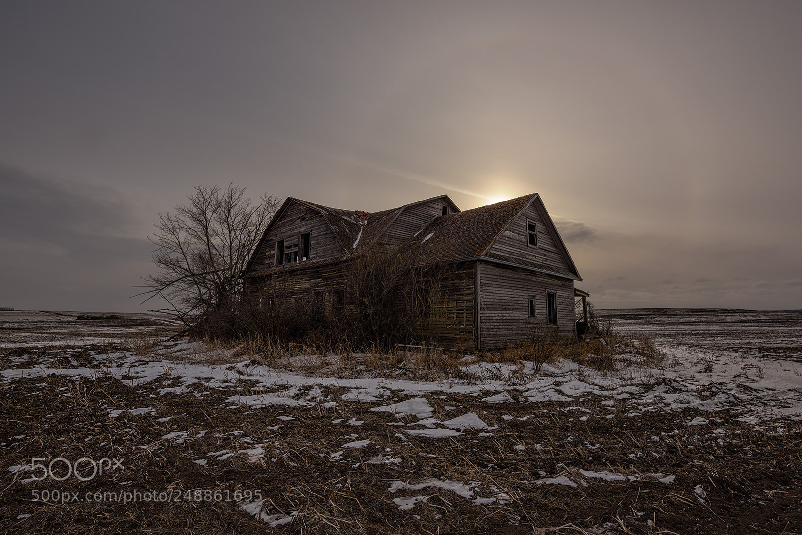 Nikon D810 sample photo. No excuses photography