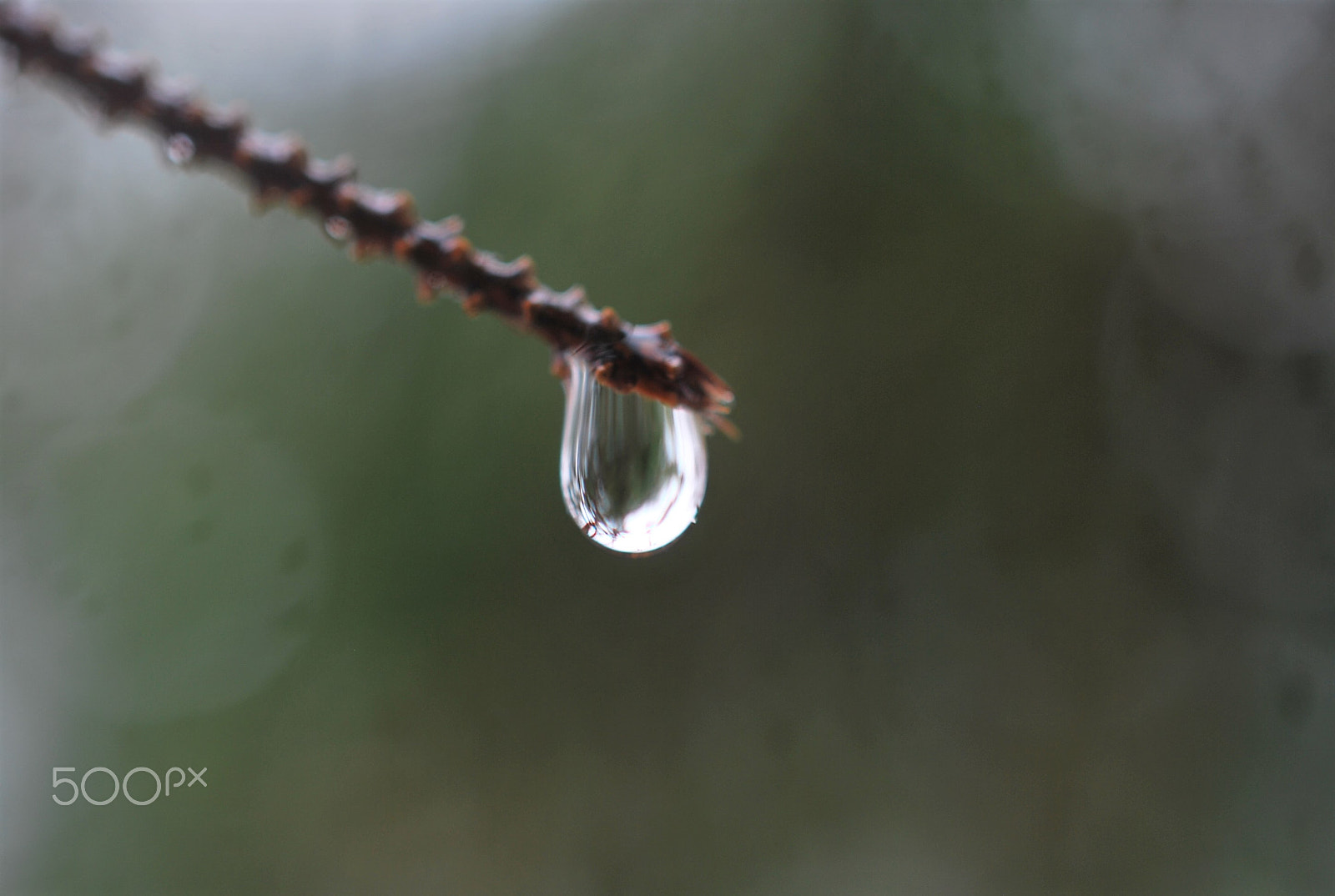 Nikon D60 + Nikon AF-S DX Micro Nikkor 40mm F2.8 sample photo. One  big drip photography