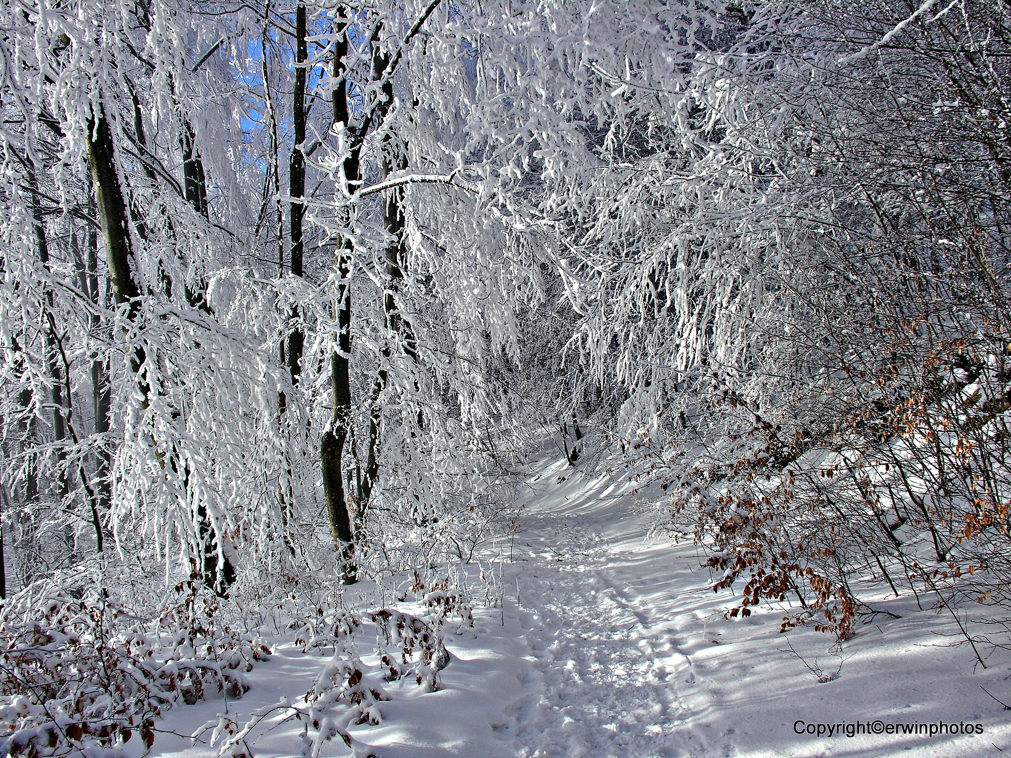 Nikon E8800 sample photo. Landschaft in weiss.... photography