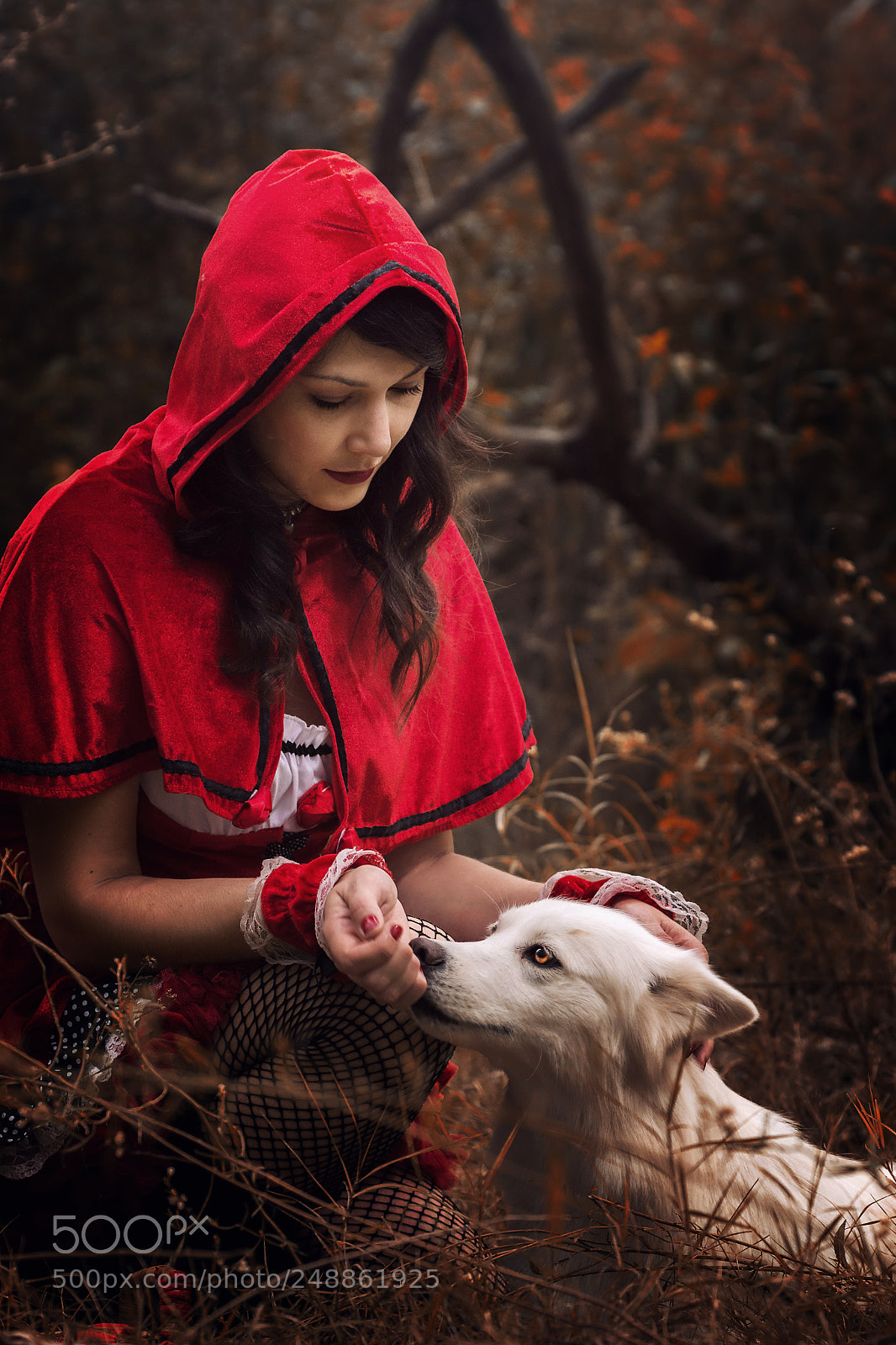 Nikon D7100 sample photo. Little red riding hood photography