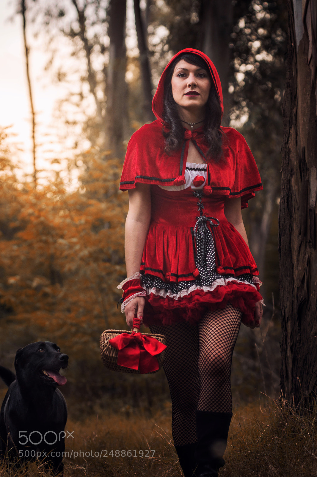 Nikon D7100 sample photo. Little red riding hood photography