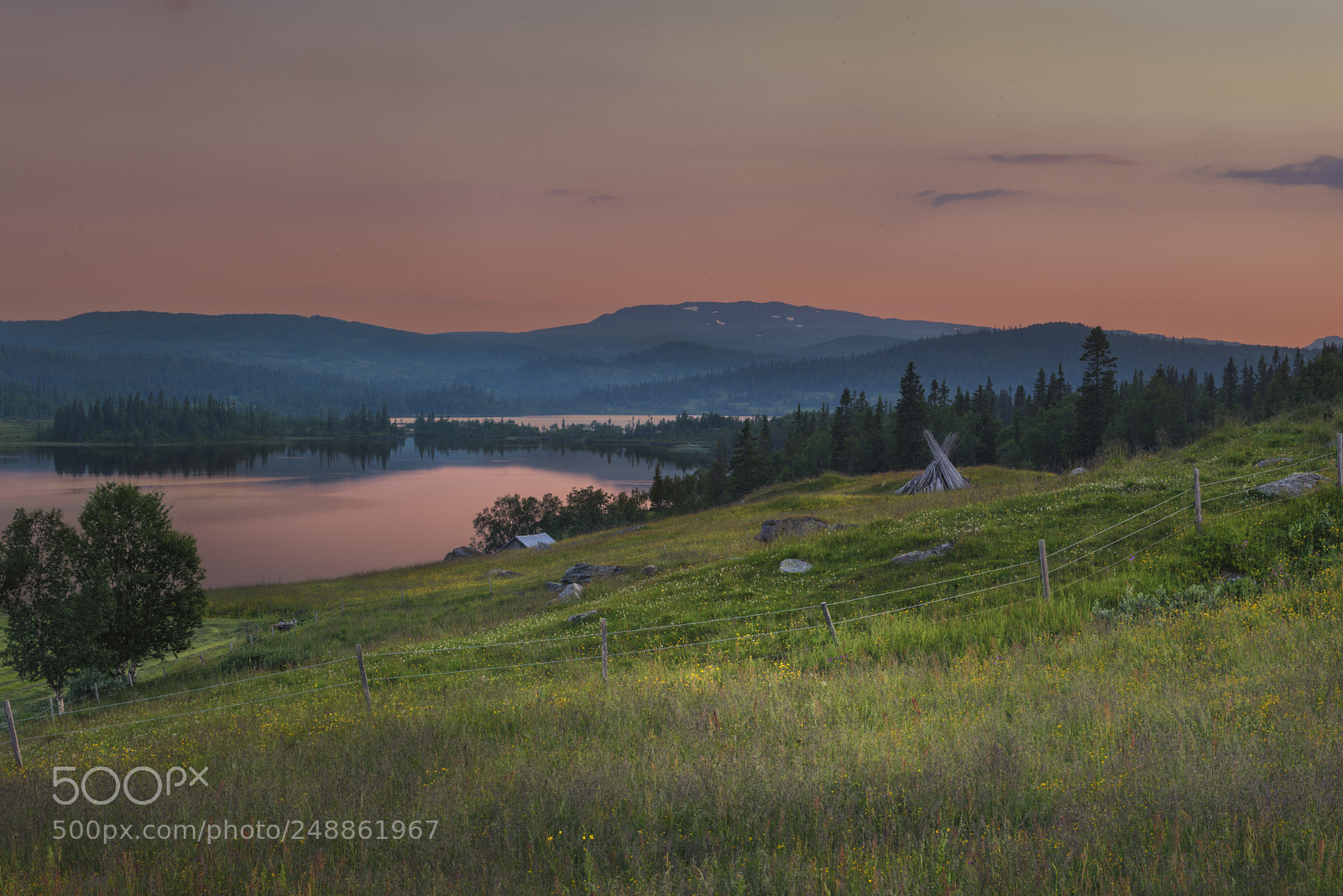Nikon D800 sample photo. Midnight meadow photography