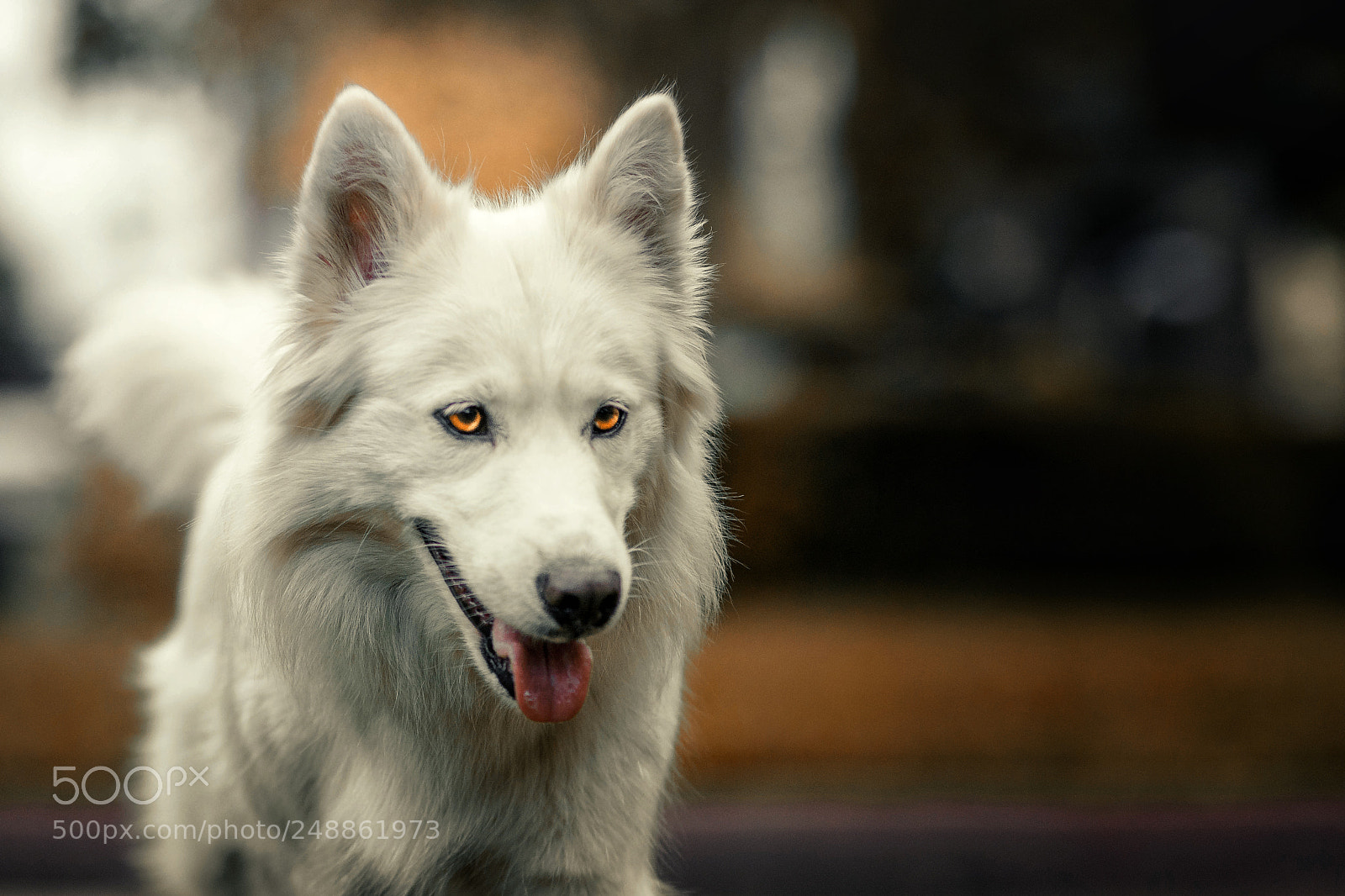 Nikon D7100 sample photo. Arya photography