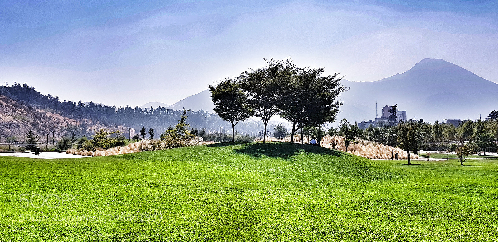 Samsung Galaxy S8+ sample photo. Green photography