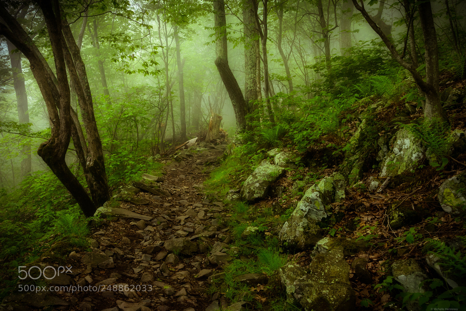 Nikon D800 sample photo. The trail photography