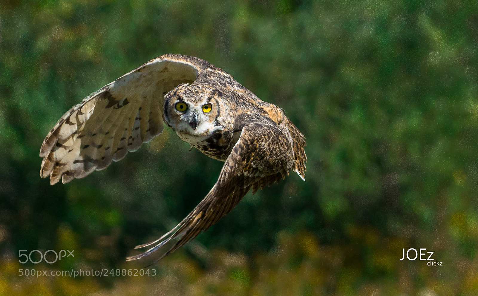 Nikon D7100 sample photo. Flight photography