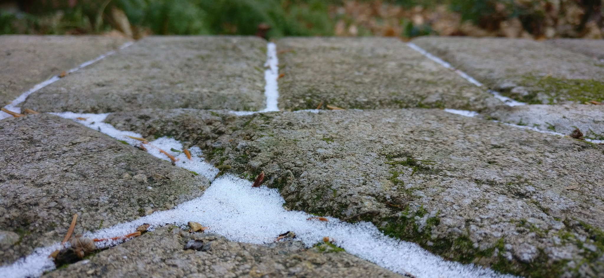 OnePlus A3000 sample photo. A touch of snow photography