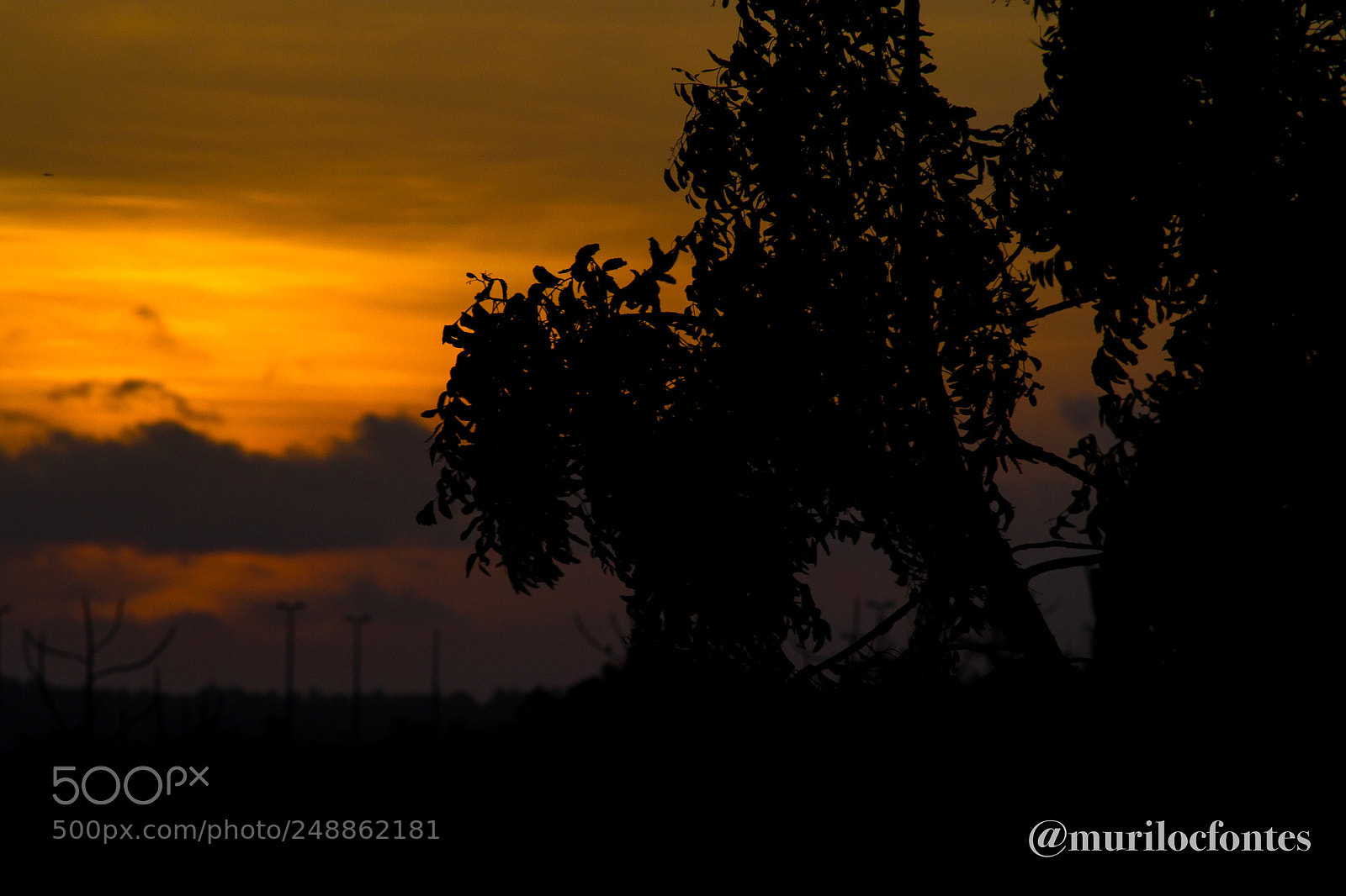 Nikon D3100 sample photo. Untitled photography