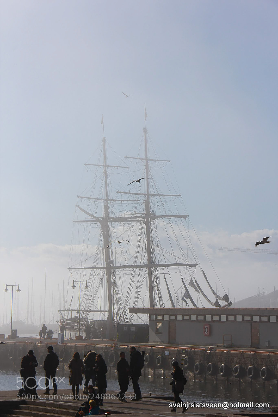 Canon EOS 60D sample photo. A foggy day photography