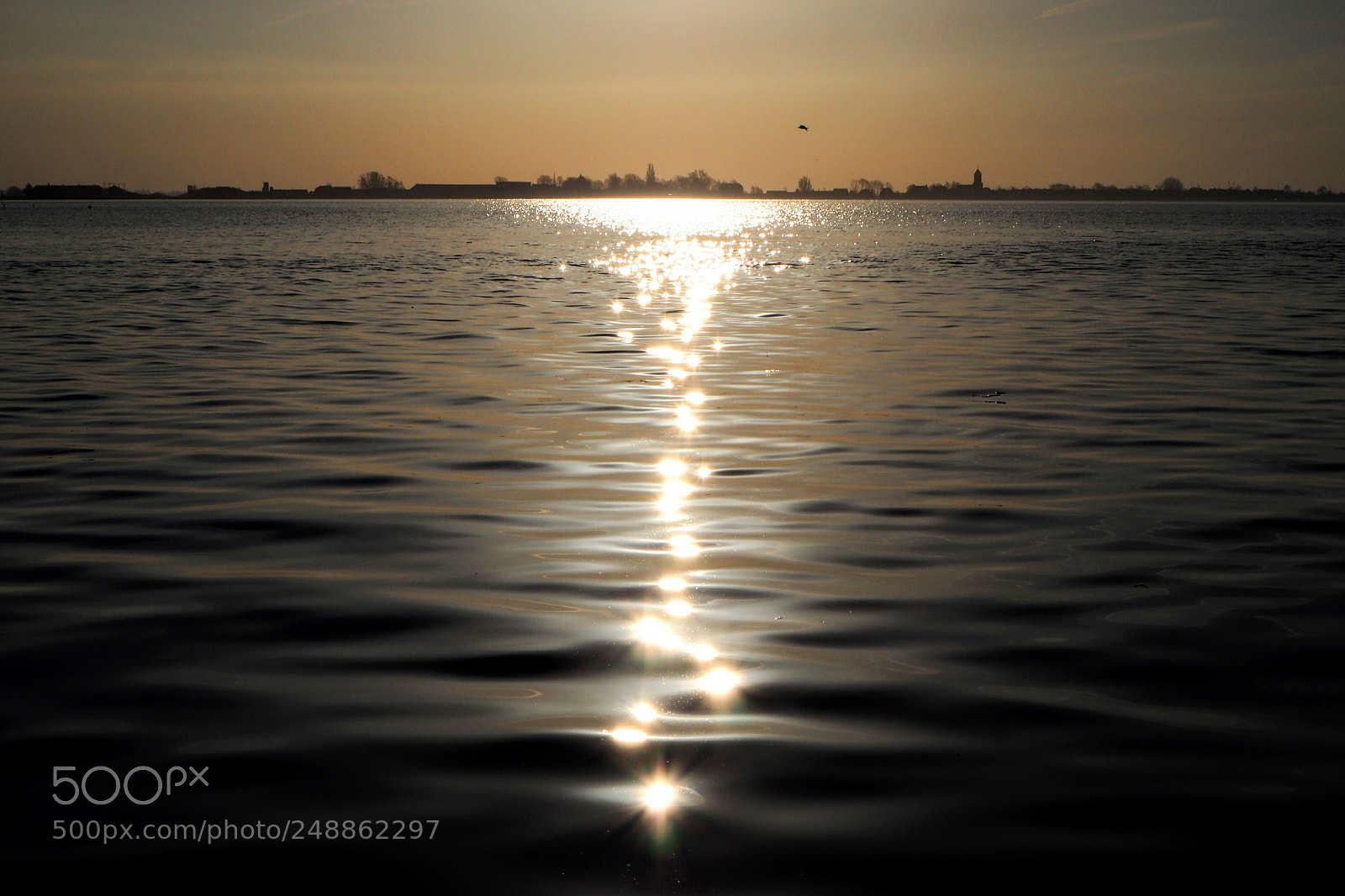 Olympus OM-D E-M10 II sample photo. Sunny reflections photography