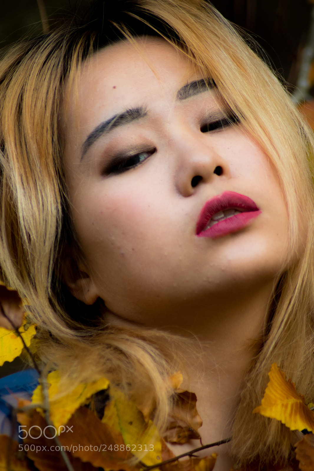 Nikon D5500 sample photo. Julie ling photography