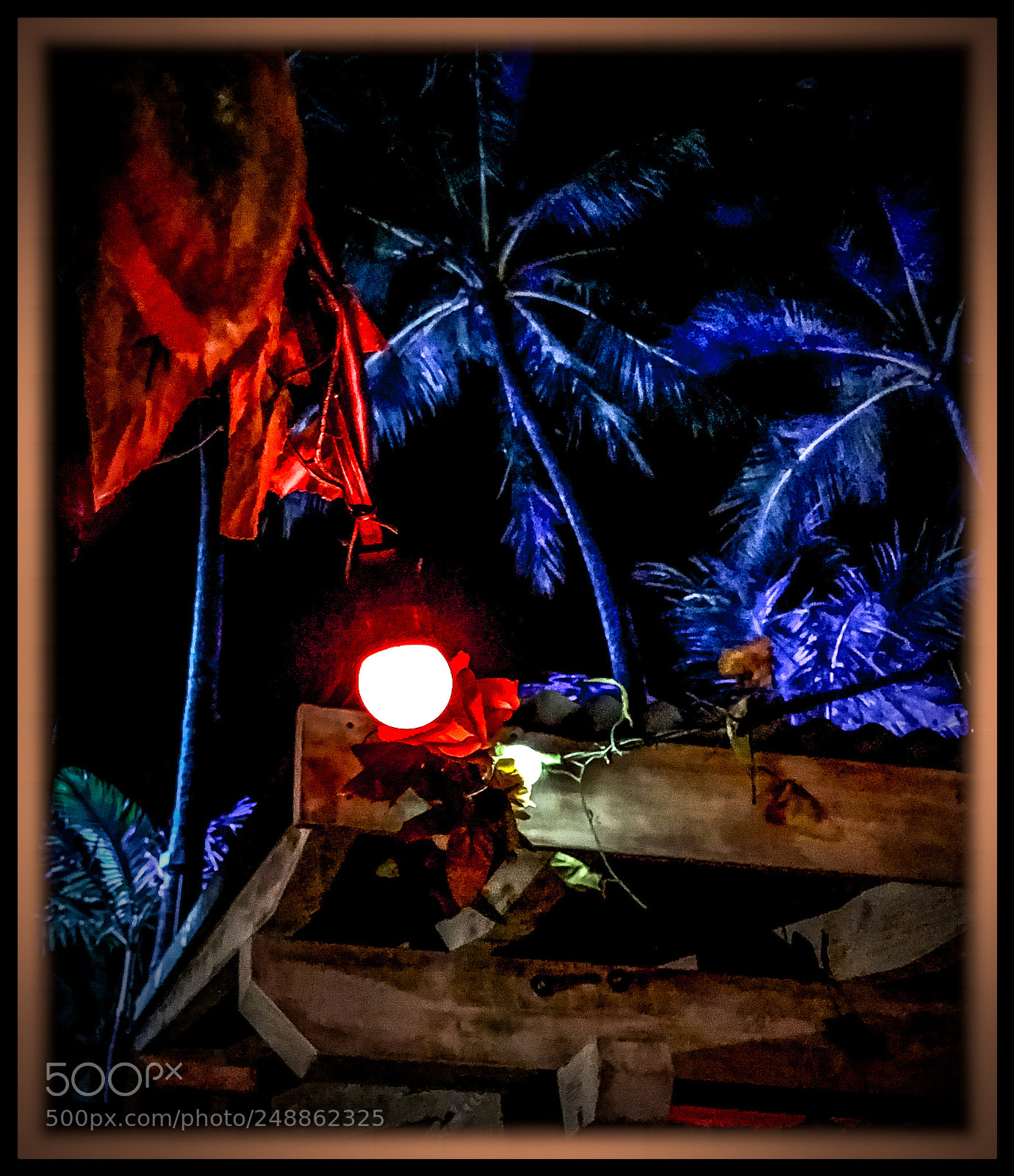 Apple iPhone X sample photo. Tropical night photography