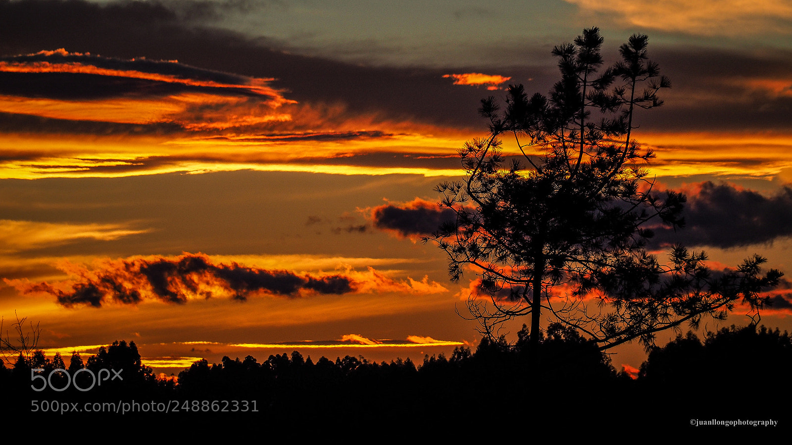 Olympus OM-D E-M10 II sample photo. Atardecer - sunset photography