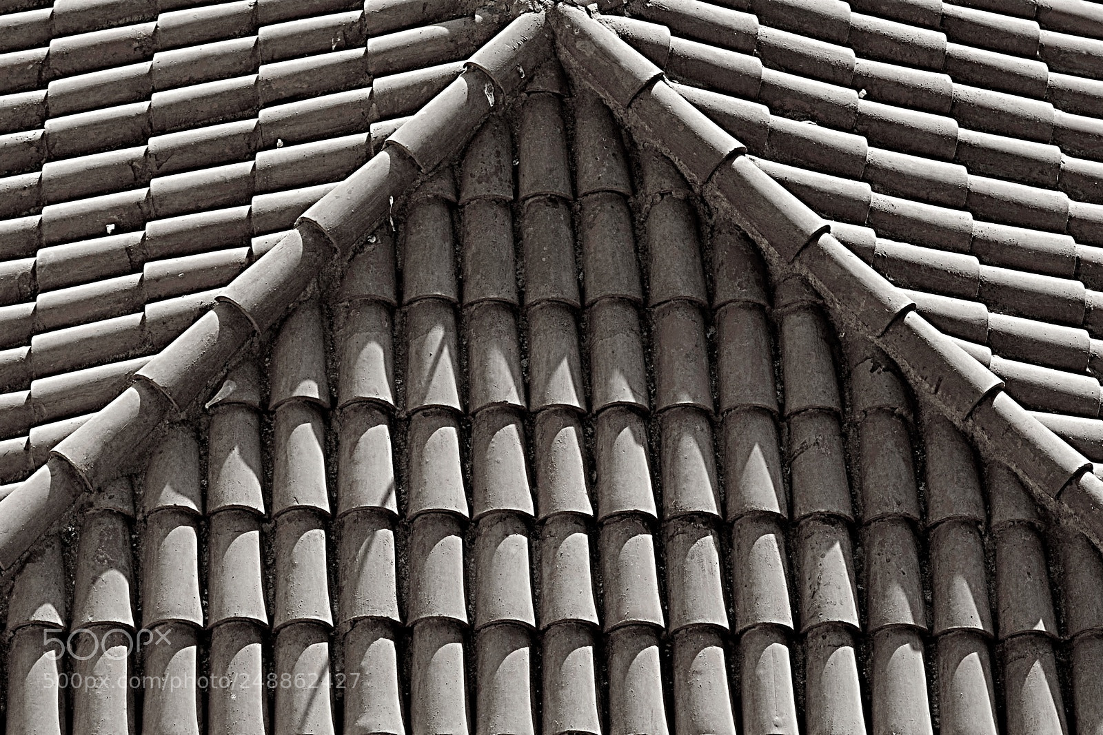 Nikon D700 sample photo. Roof photography