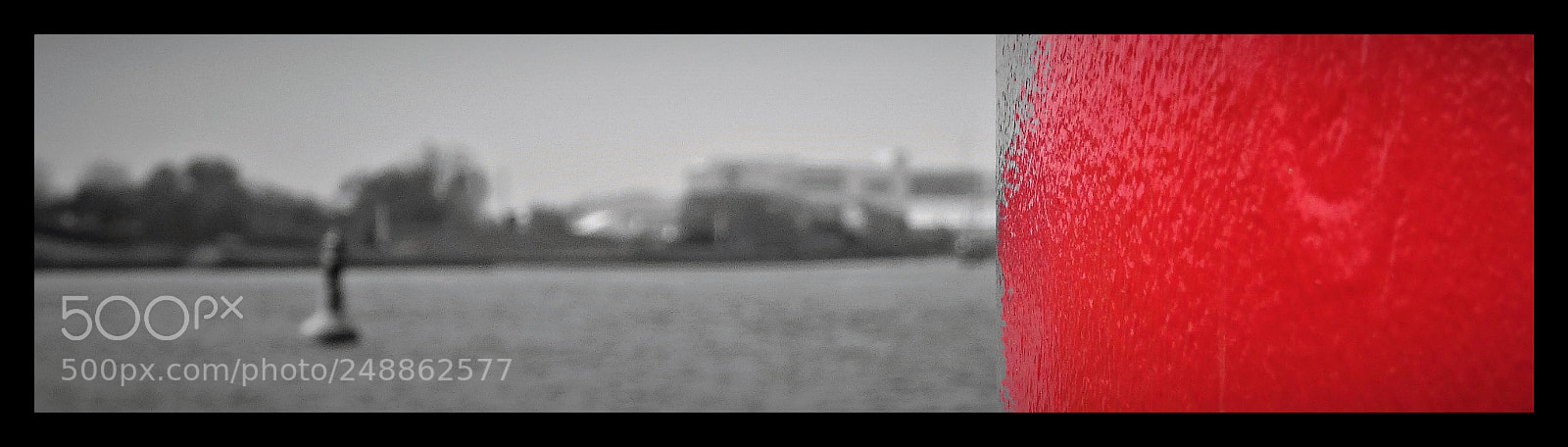 Sony DSC-HX50 sample photo. Red and something else photography