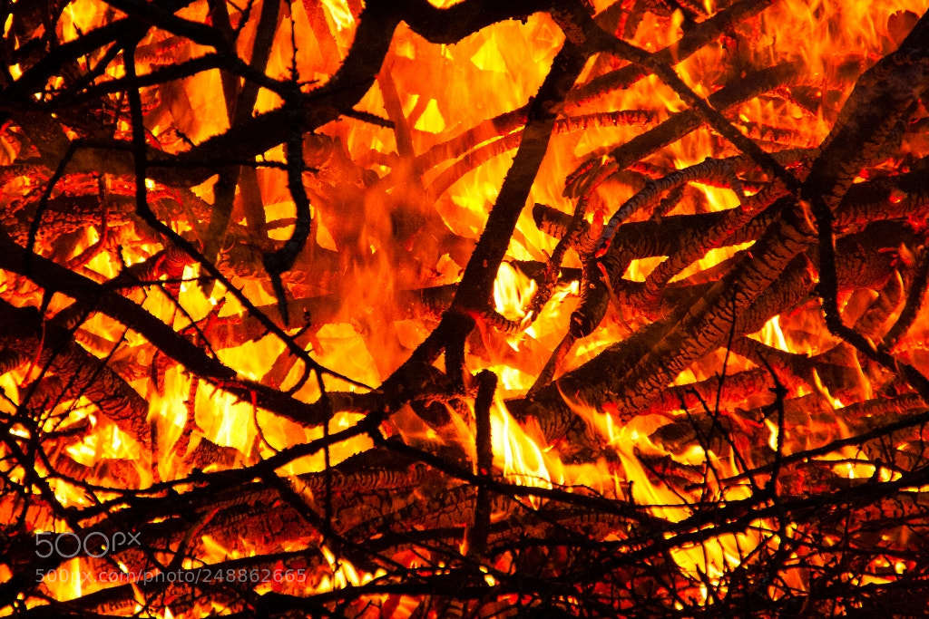 Canon EOS 1000D (EOS Digital Rebel XS / EOS Kiss F) sample photo. Fire sunset photography