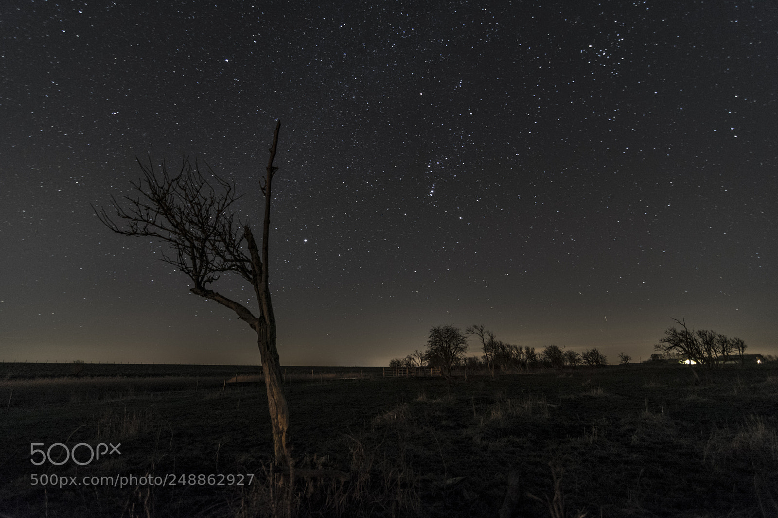 Nikon D7100 sample photo. Watching the stars photography