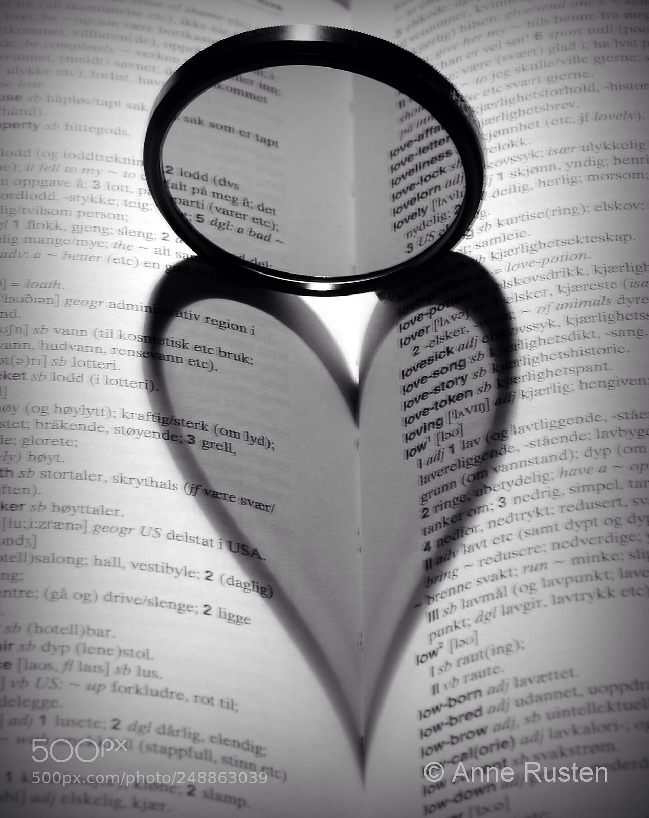 Nikon D7000 sample photo. Heart photography